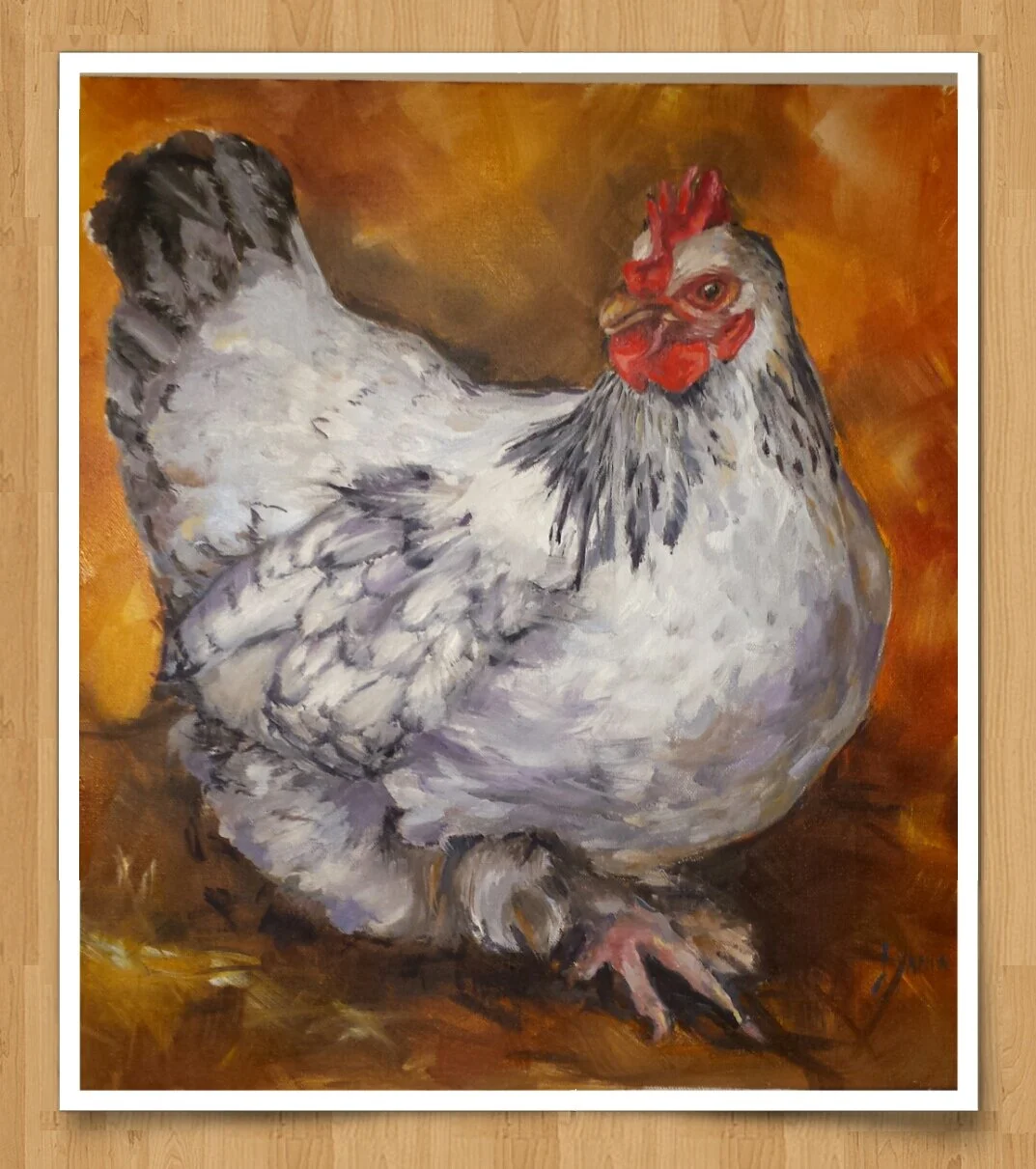 Chicken in the Yard!