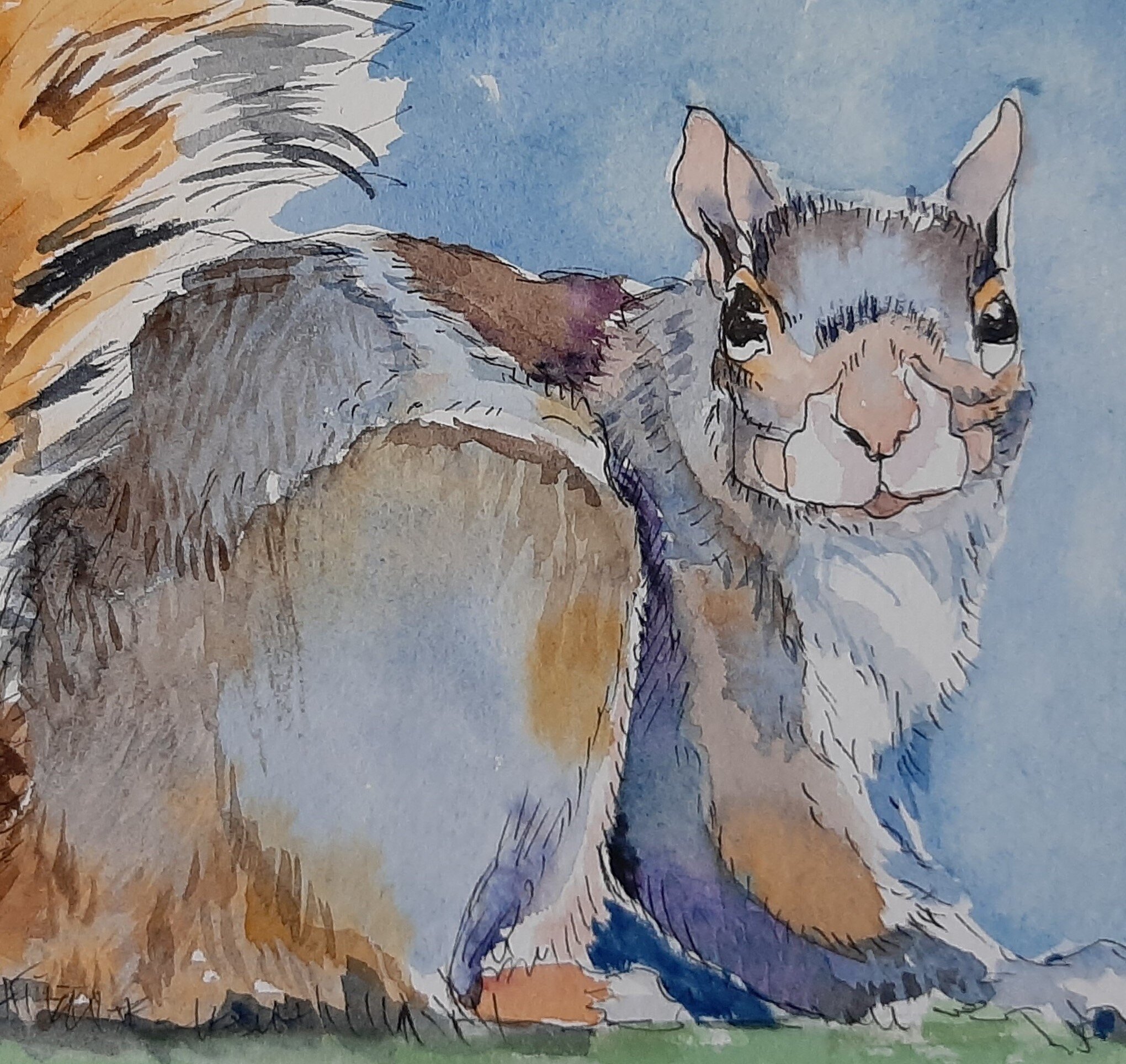 Squirrel in Blue