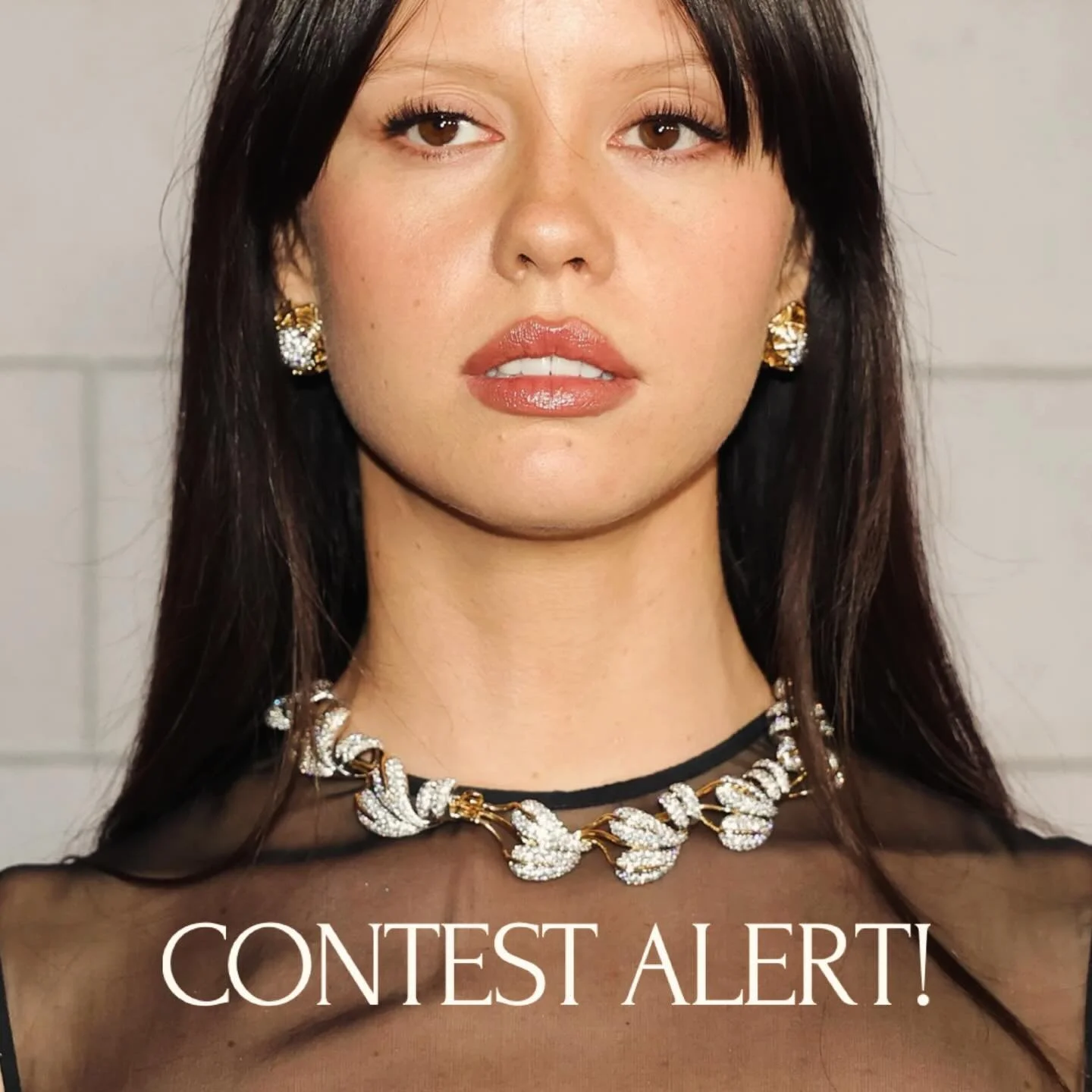 Welcoming the new year @ alixarthurdesign.com with a fun contest! One lucky winner will receive: 

1) A new haircut.
2) A Davines OI Liquid Luster Treatment.
3) 5-pack of satin scrunchies.
4) A smoothing or colour consult.

To enter:

1) Follow @alix