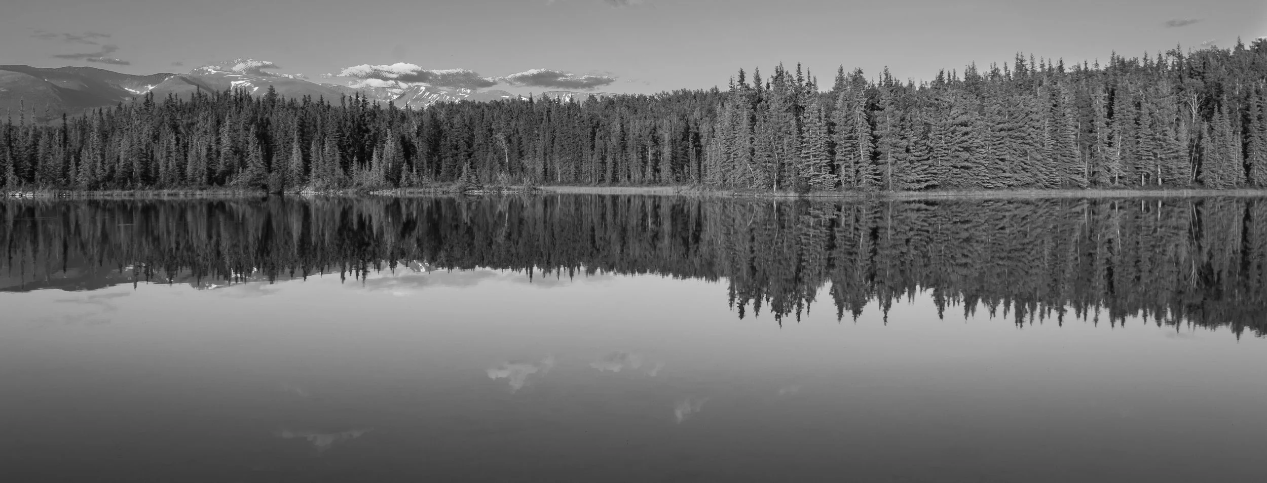 untitled shoot-0278.jpg