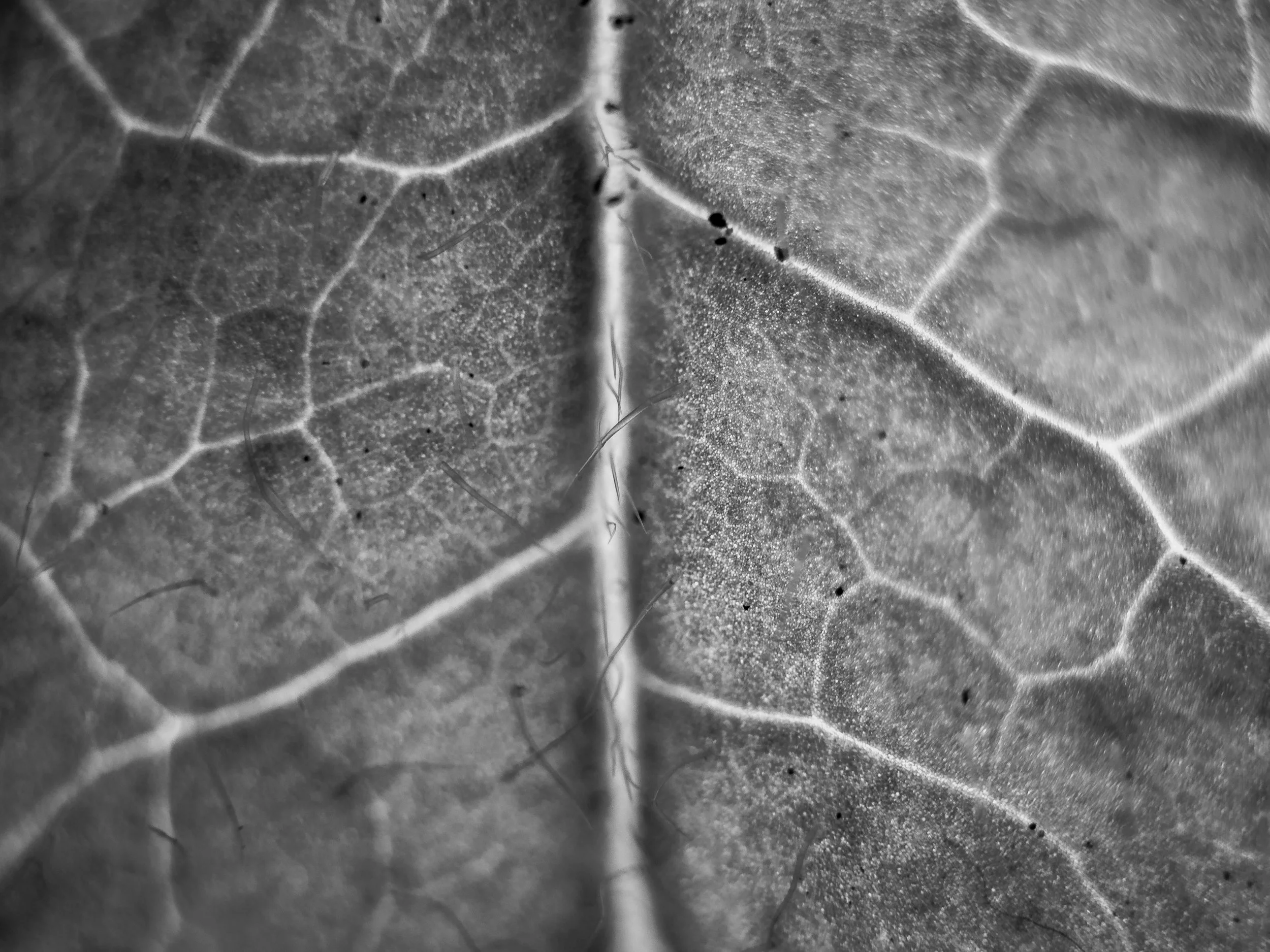 untitled shoot-0134.jpg