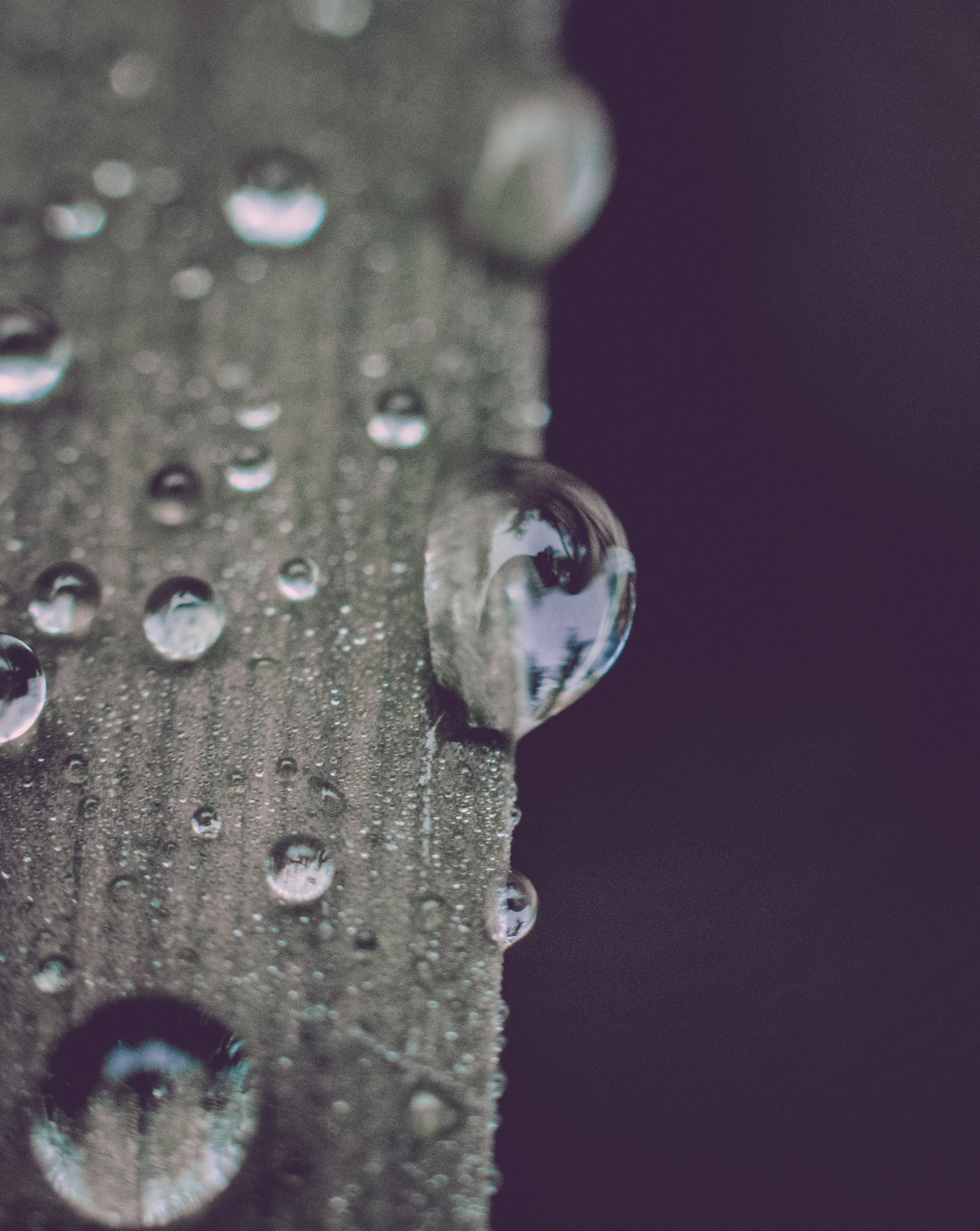 untitled shoot-1519.jpg