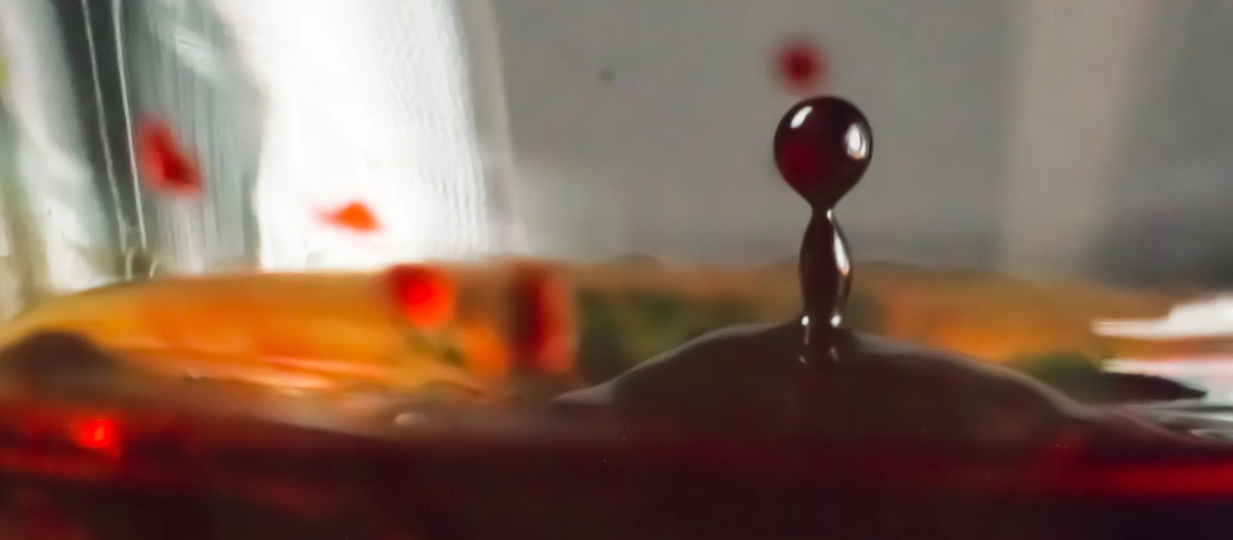 Macro 12.jpg