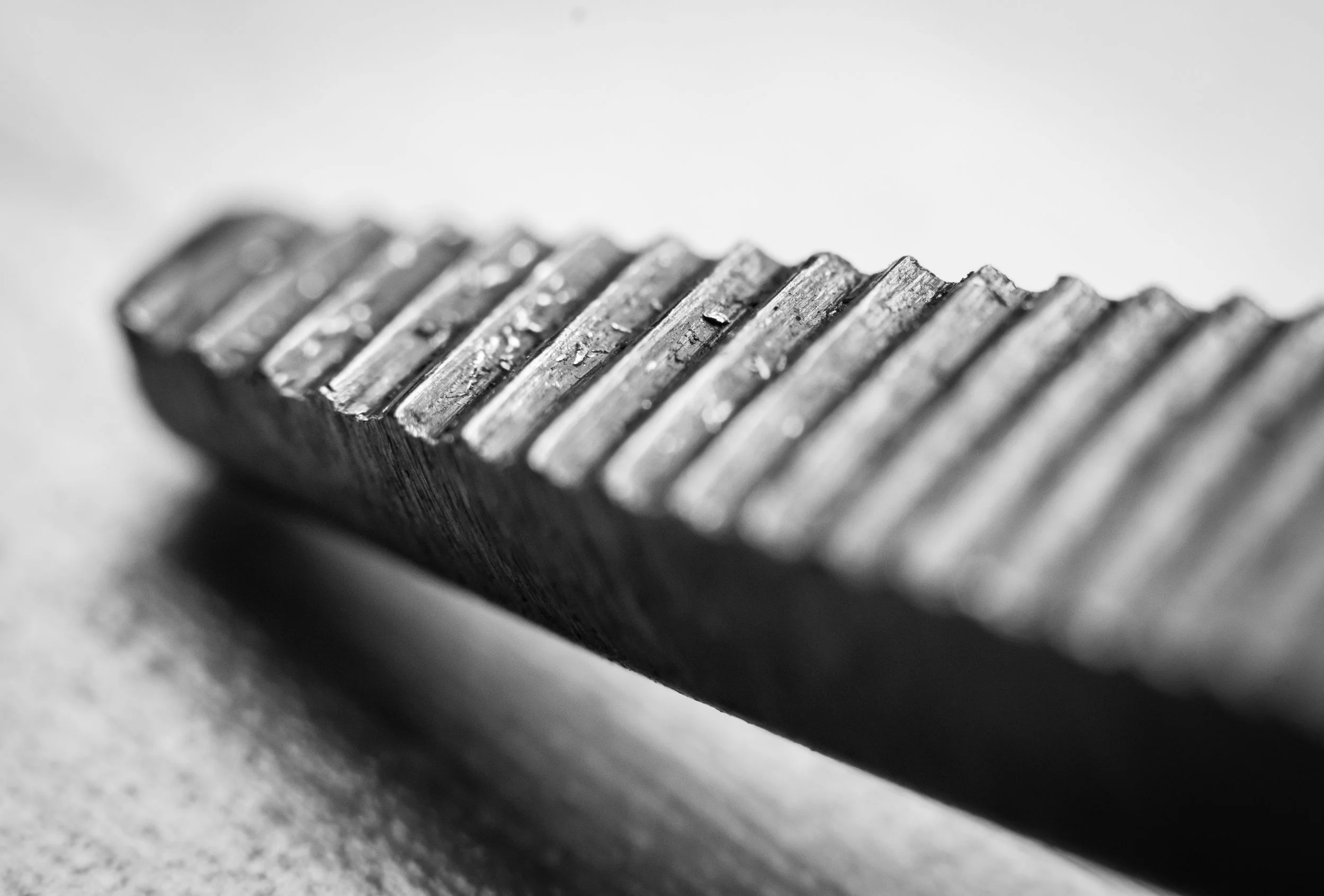 Macro 49.jpg
