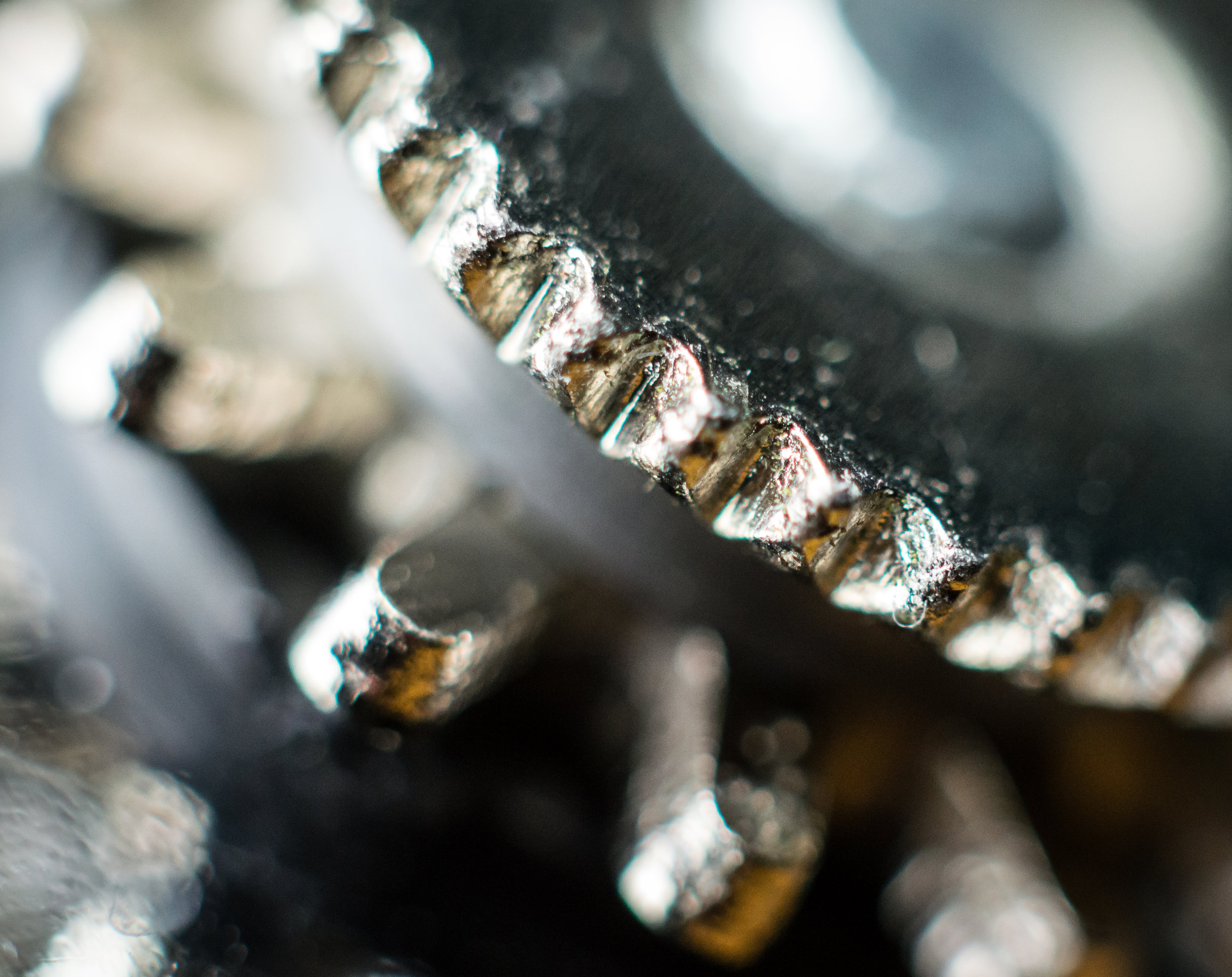 Macro 60 .jpg