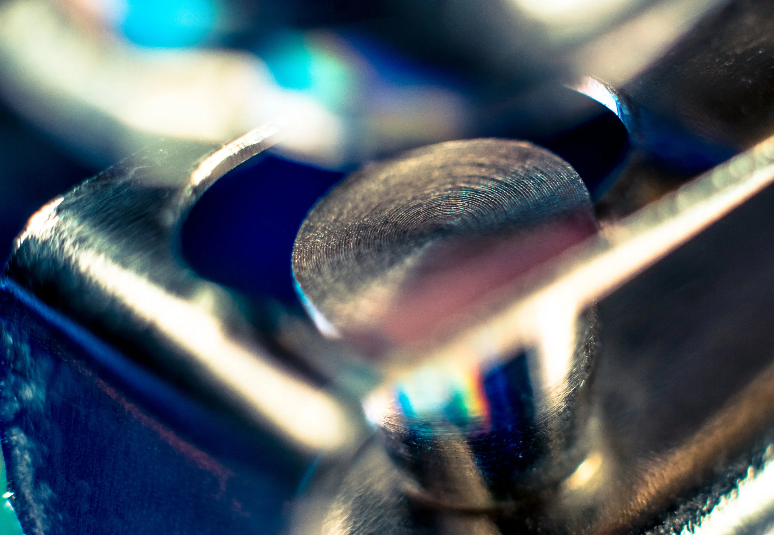 Macro 71.jpg