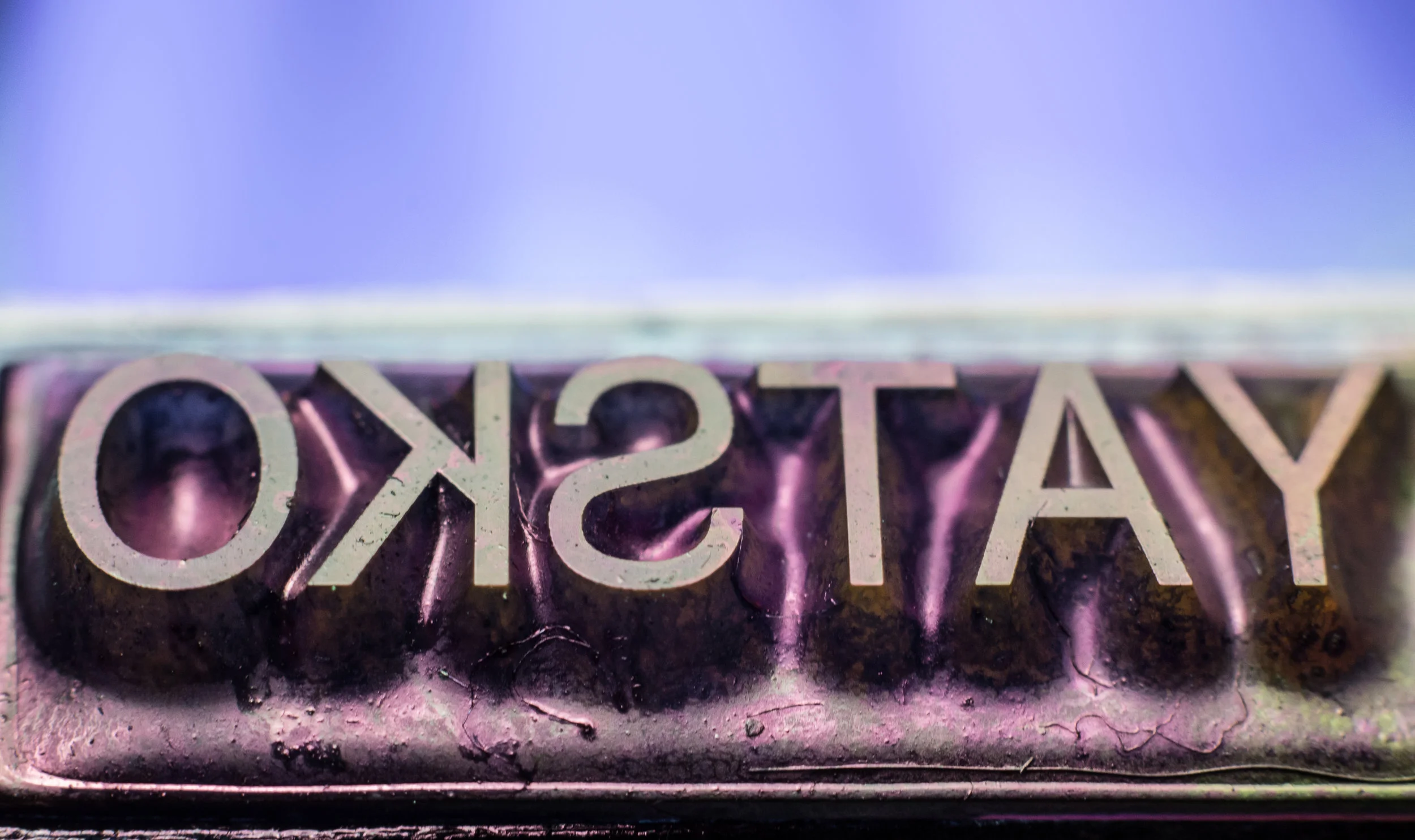 Macro 74.jpg