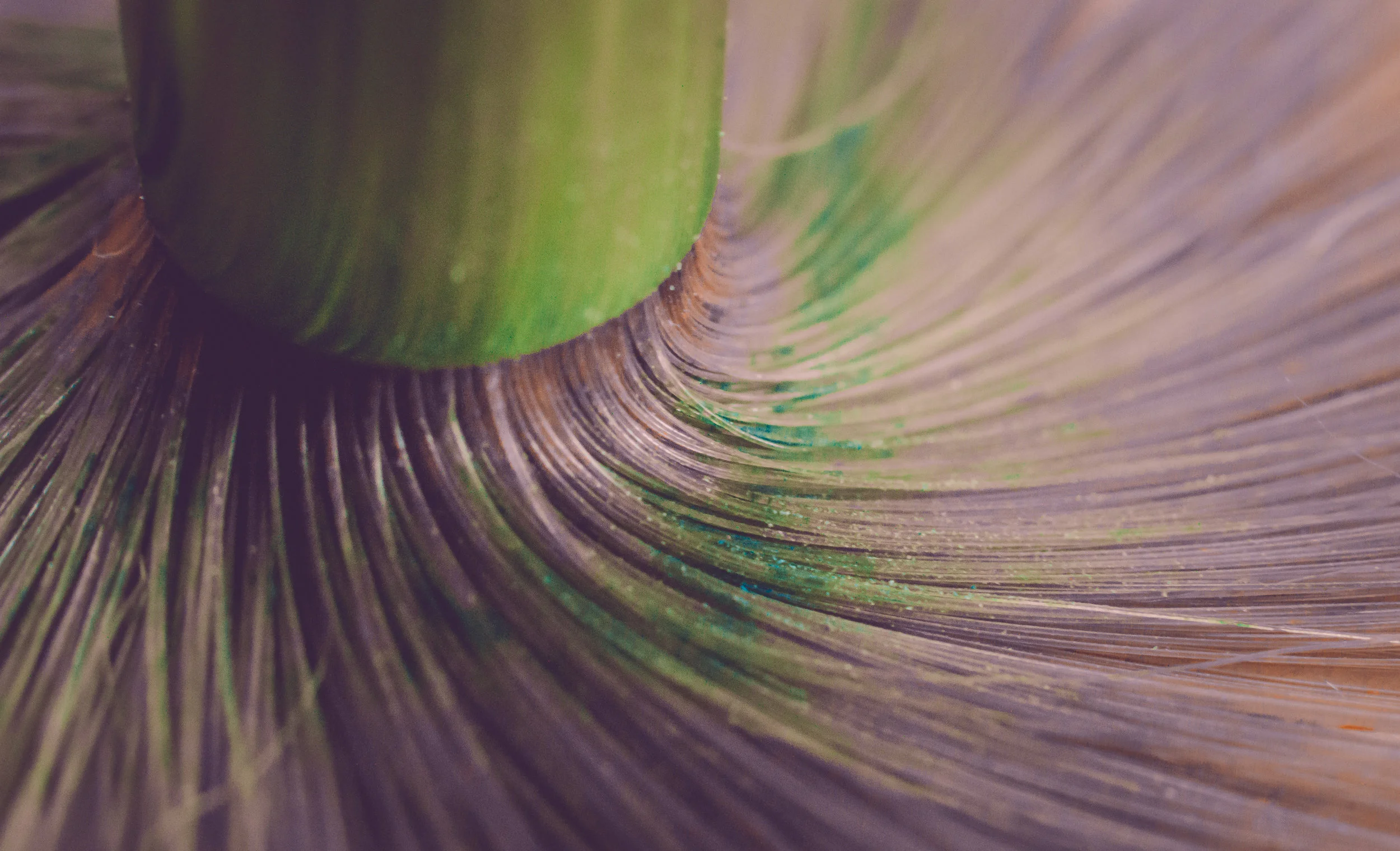 Macro 94.jpg