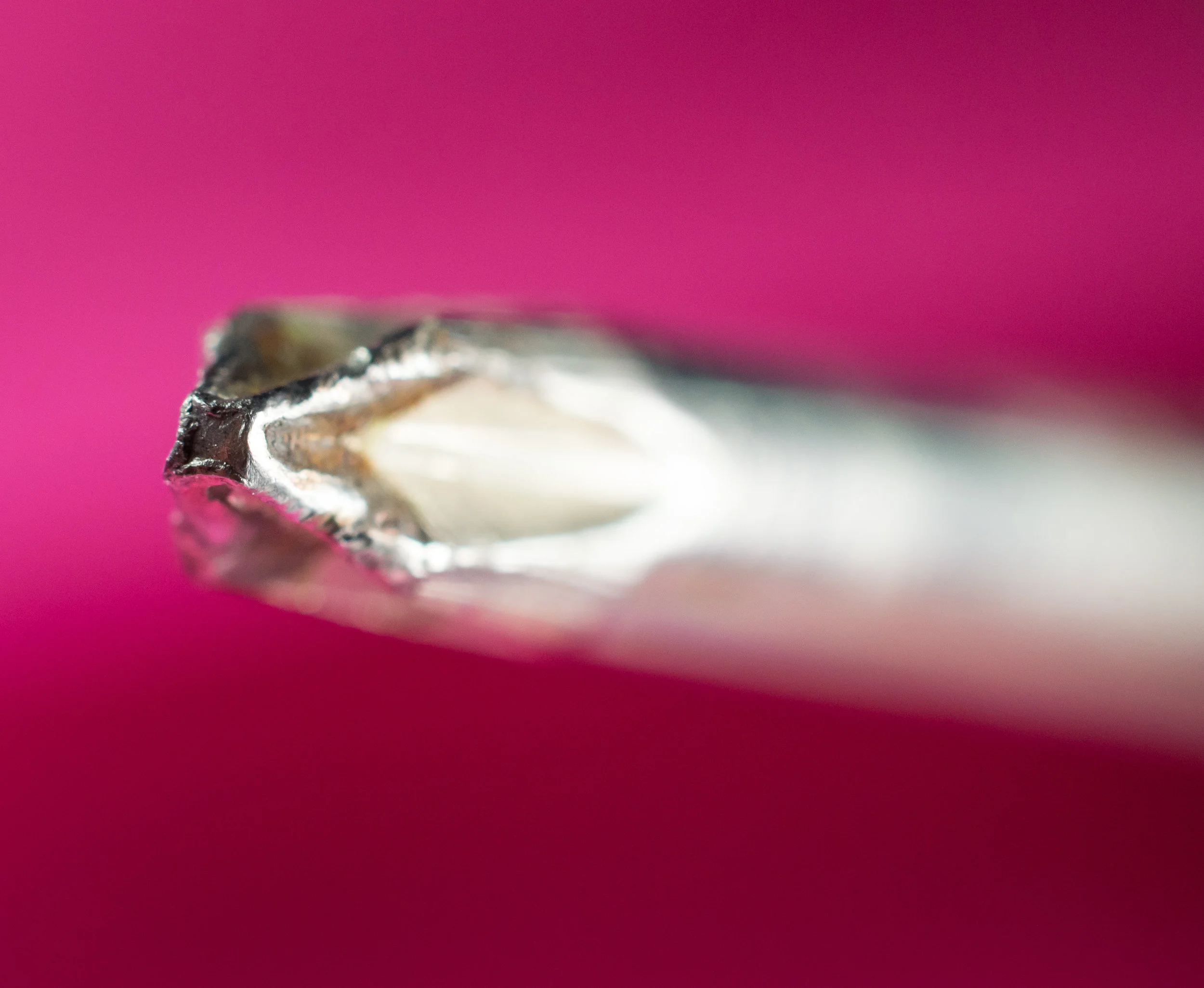 Macro 98.jpg