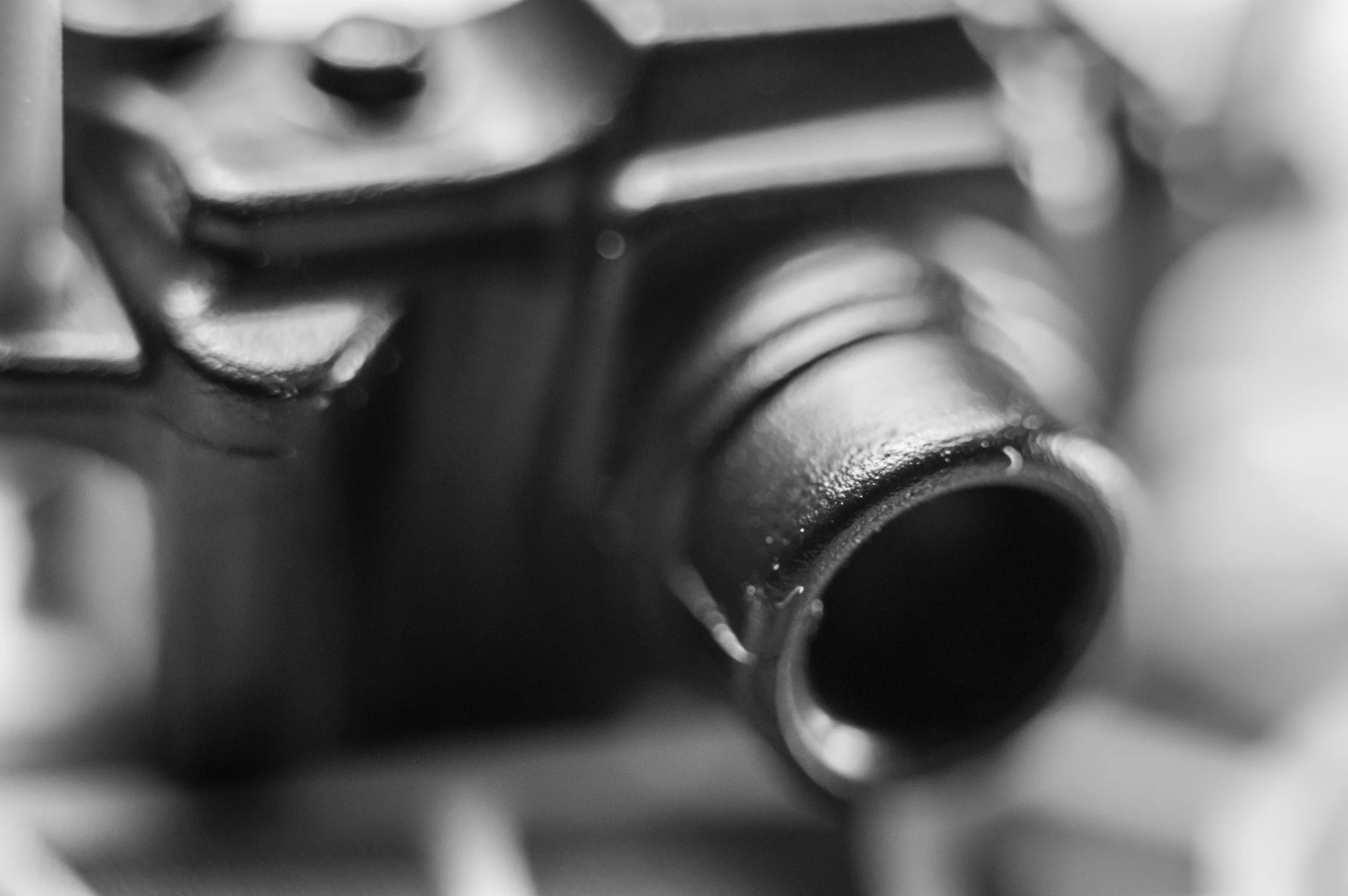Macro 137.jpg