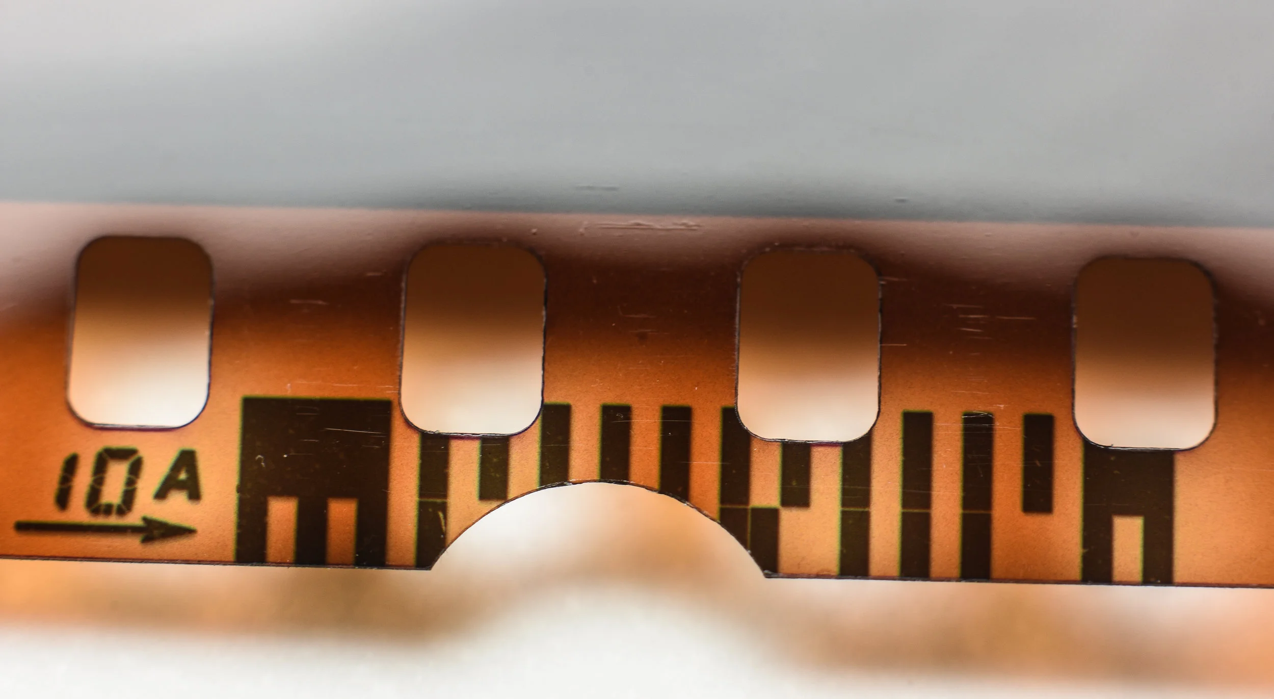 Macro 303.jpg