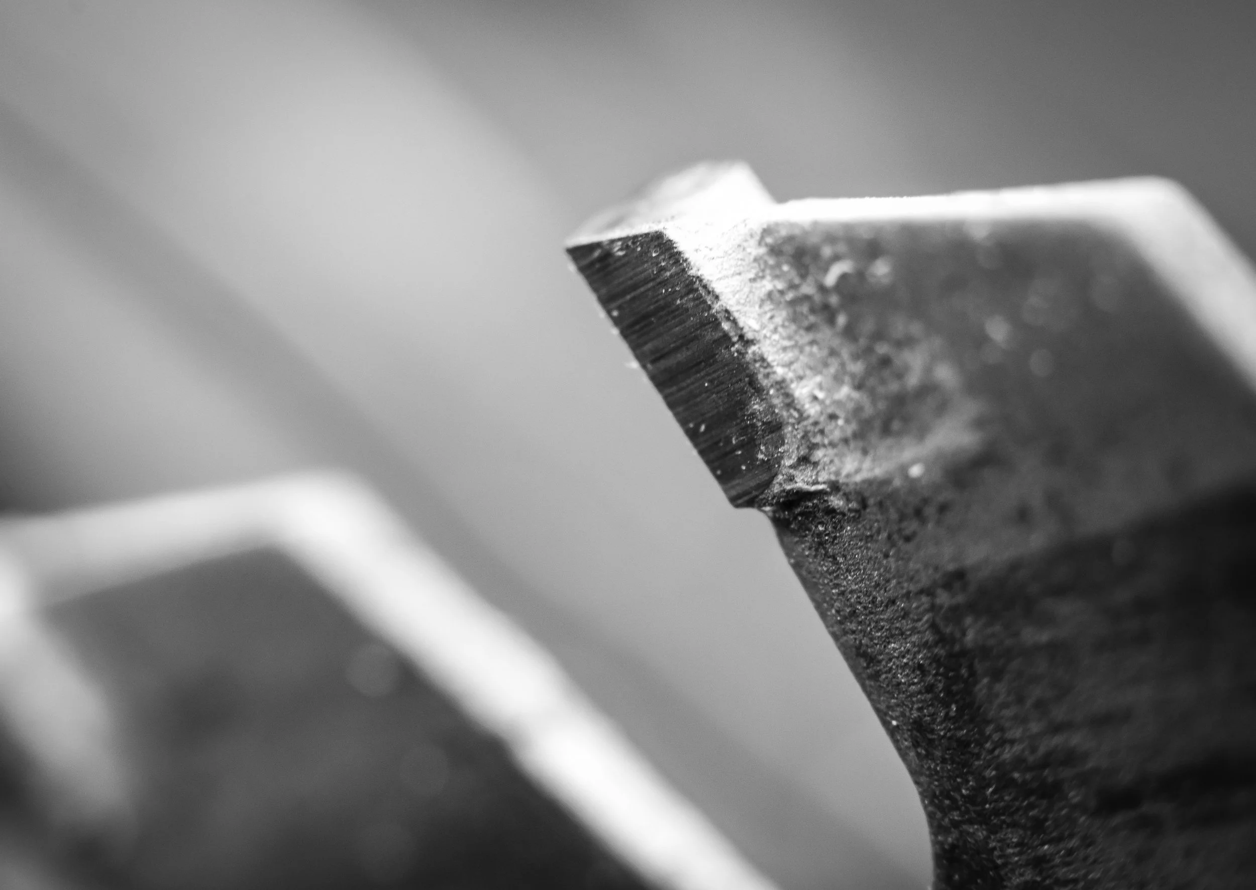 Macro 329.jpg