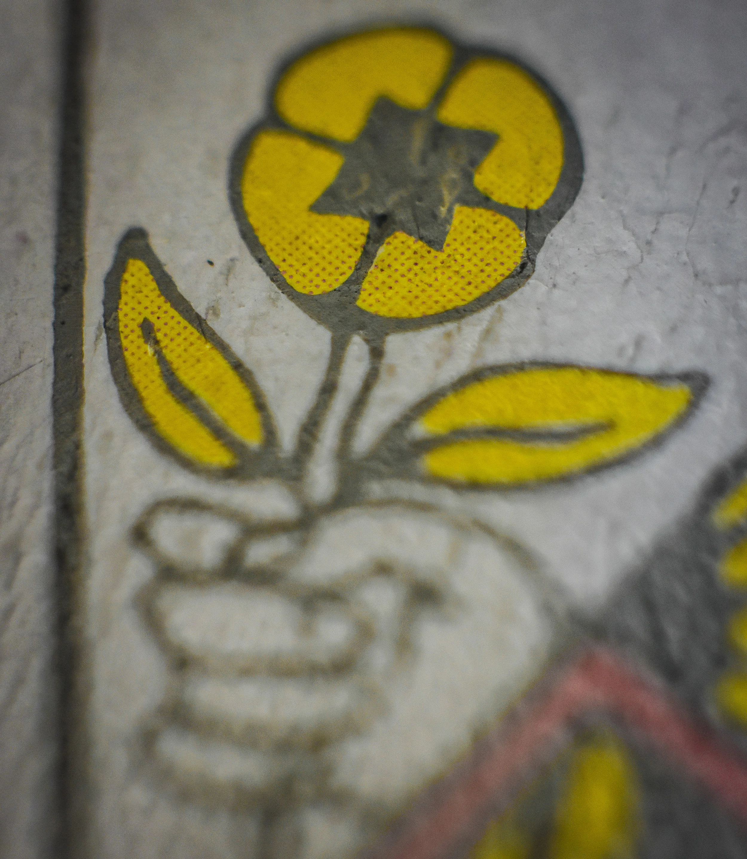 Macro 346.jpg