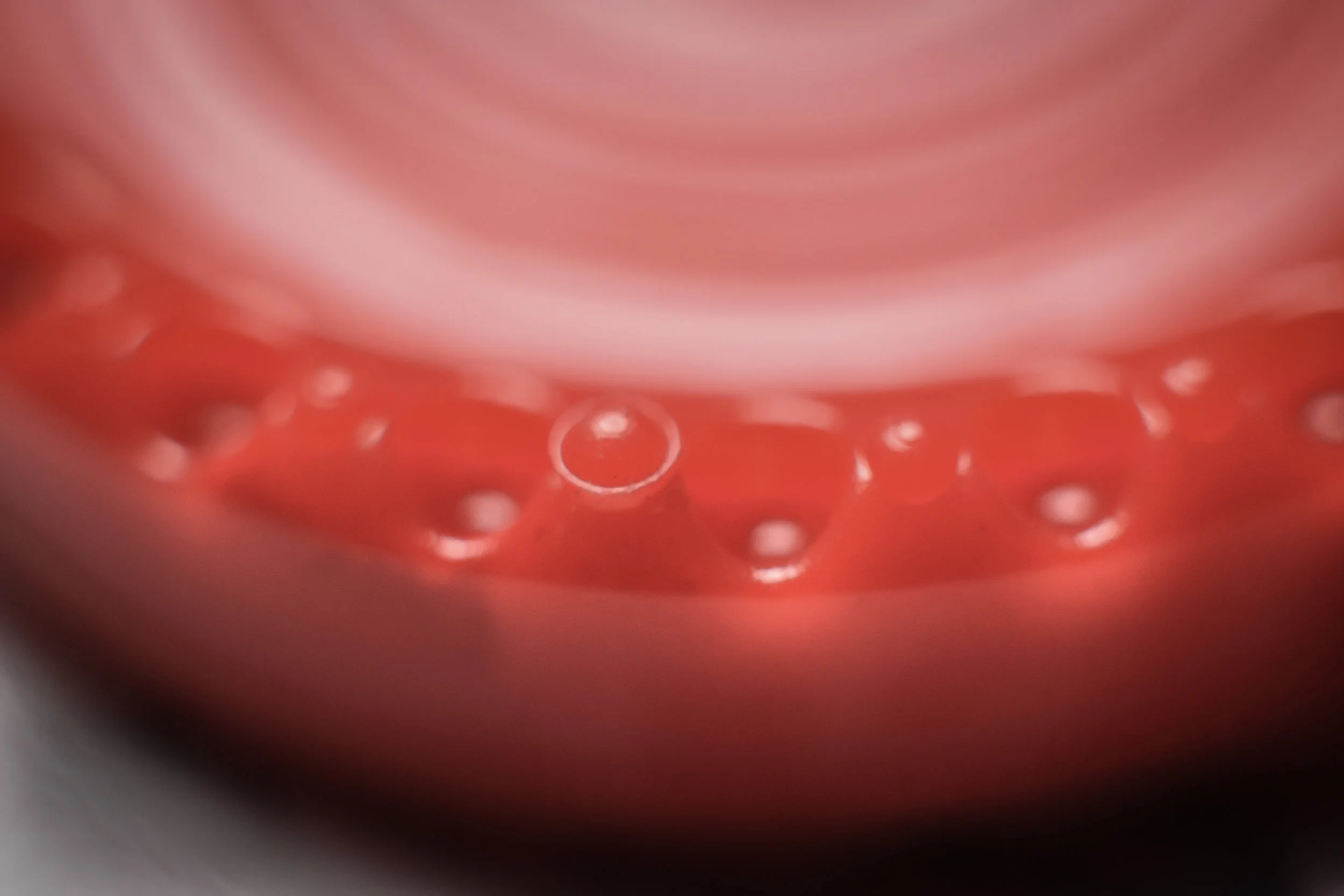 Macro 349.jpg