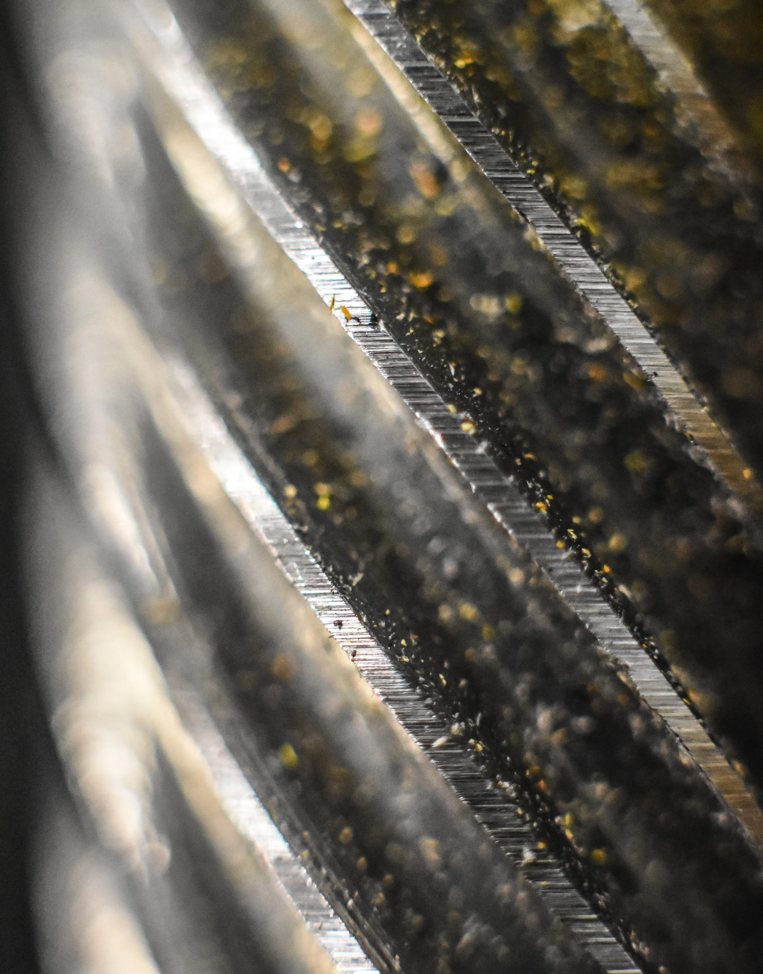 Macro 352.jpg