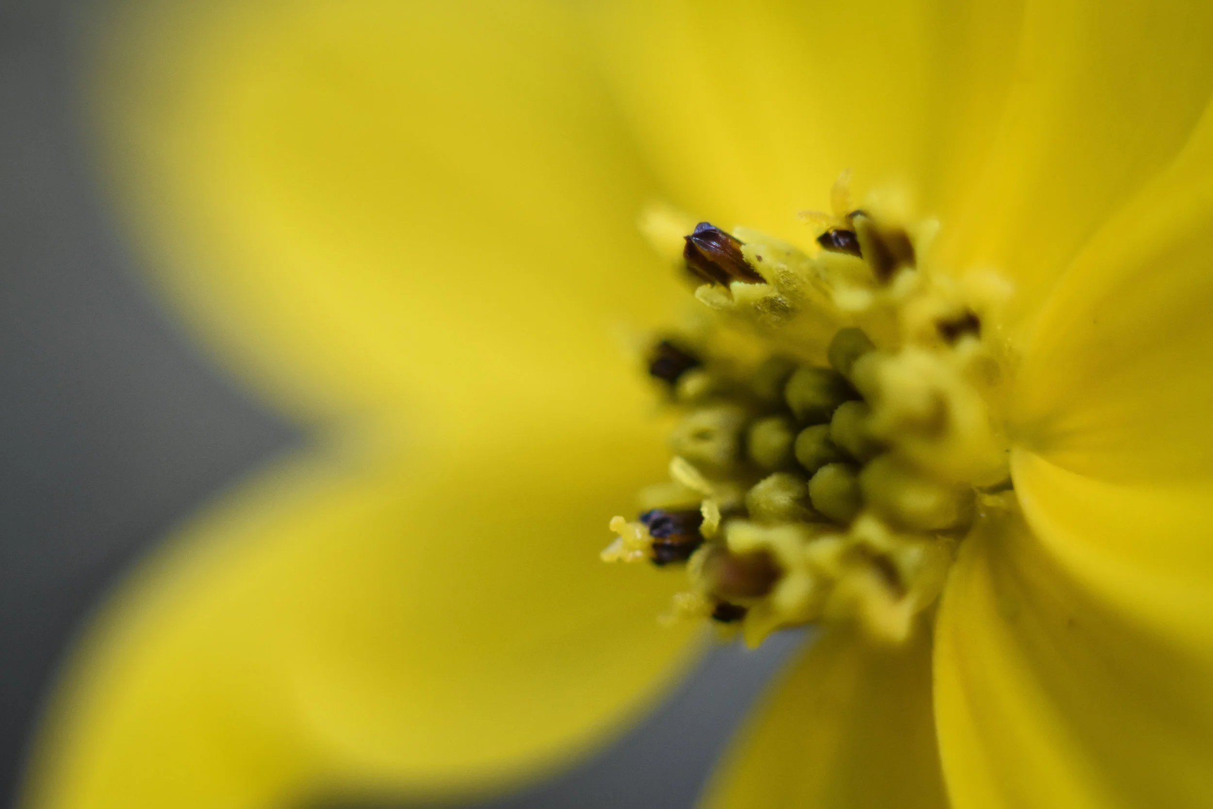 untitled shoot-280.jpg