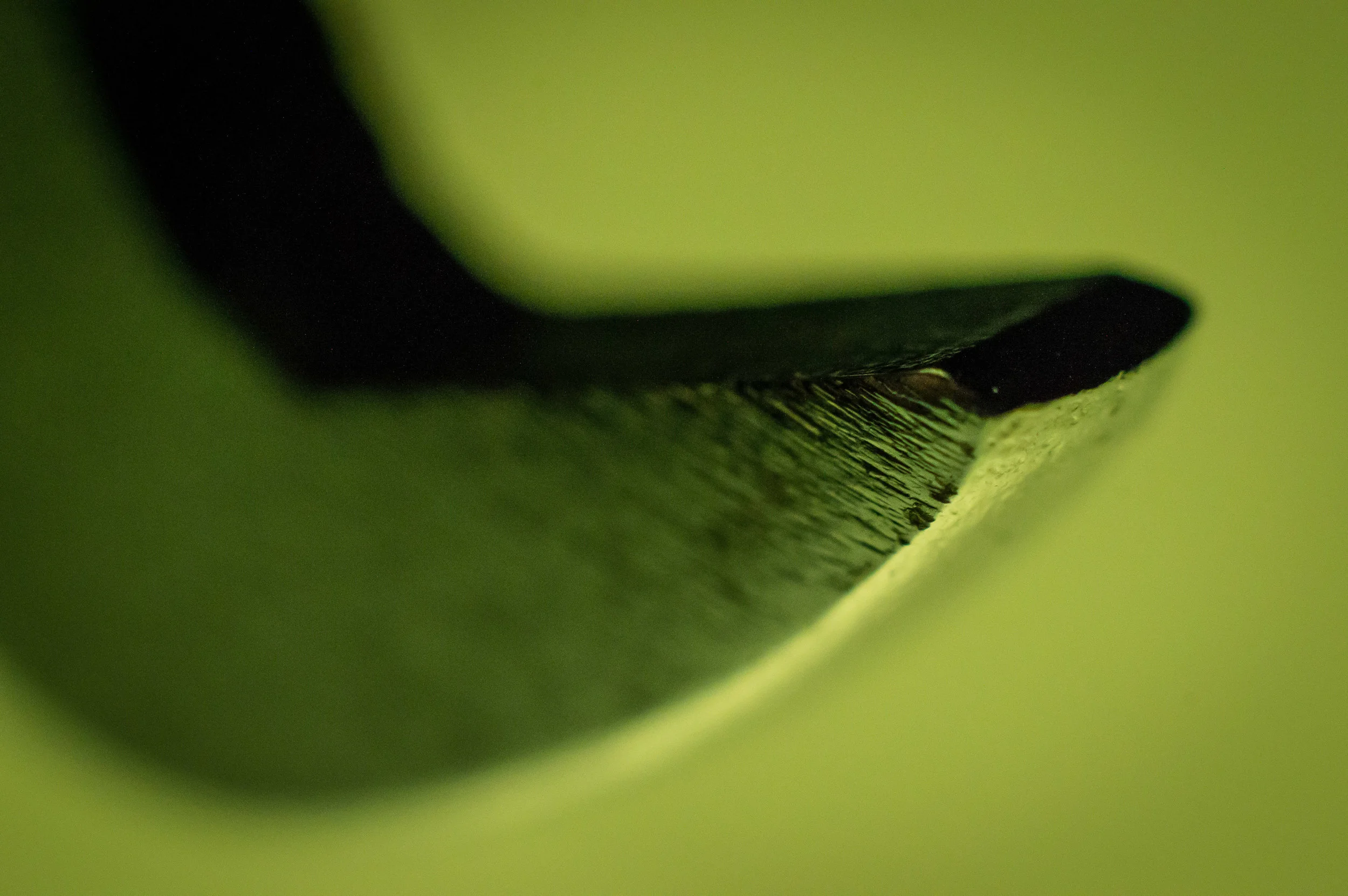 untitled shoot-93.jpg
