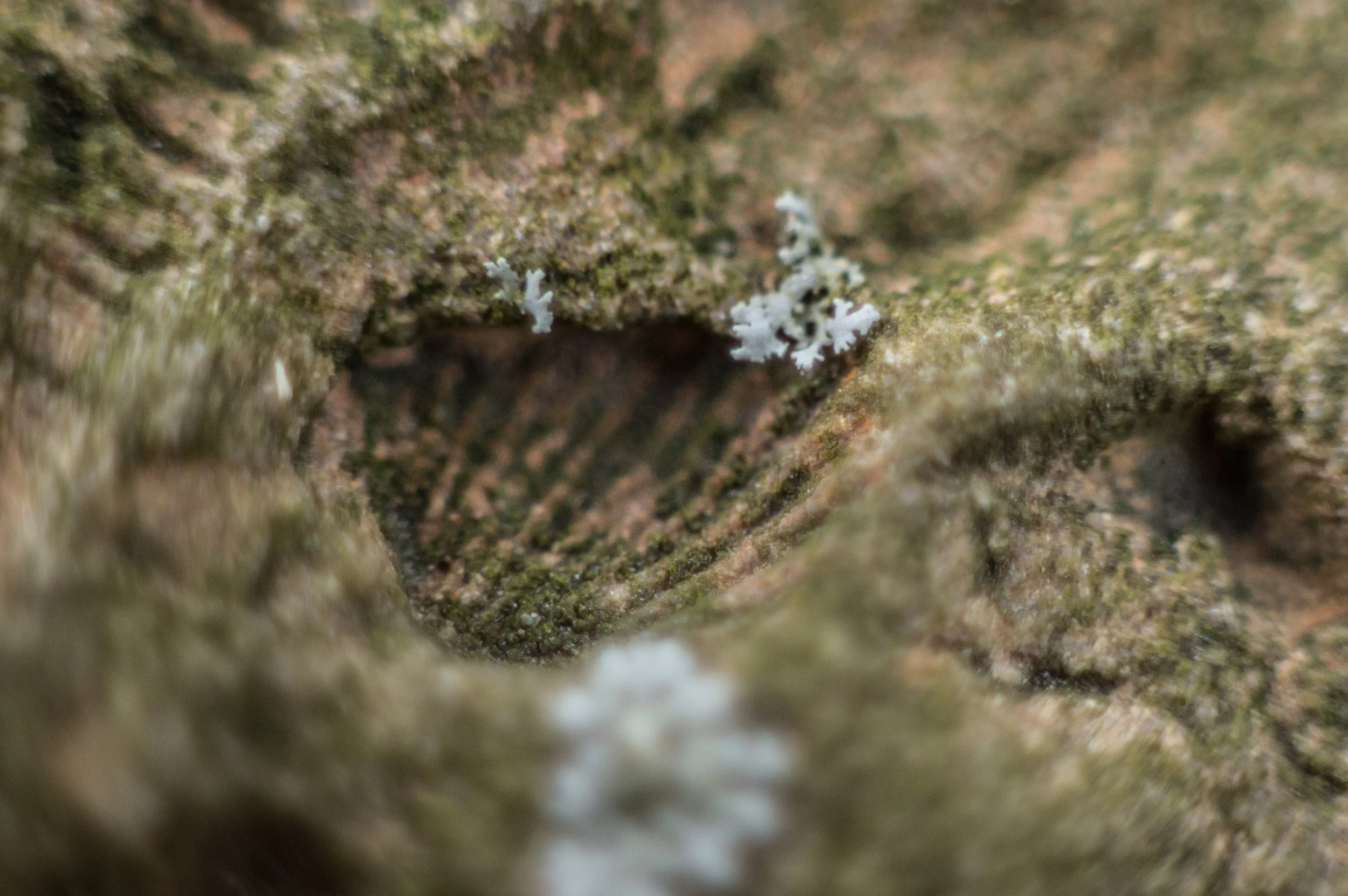 untitled shoot-109.jpg