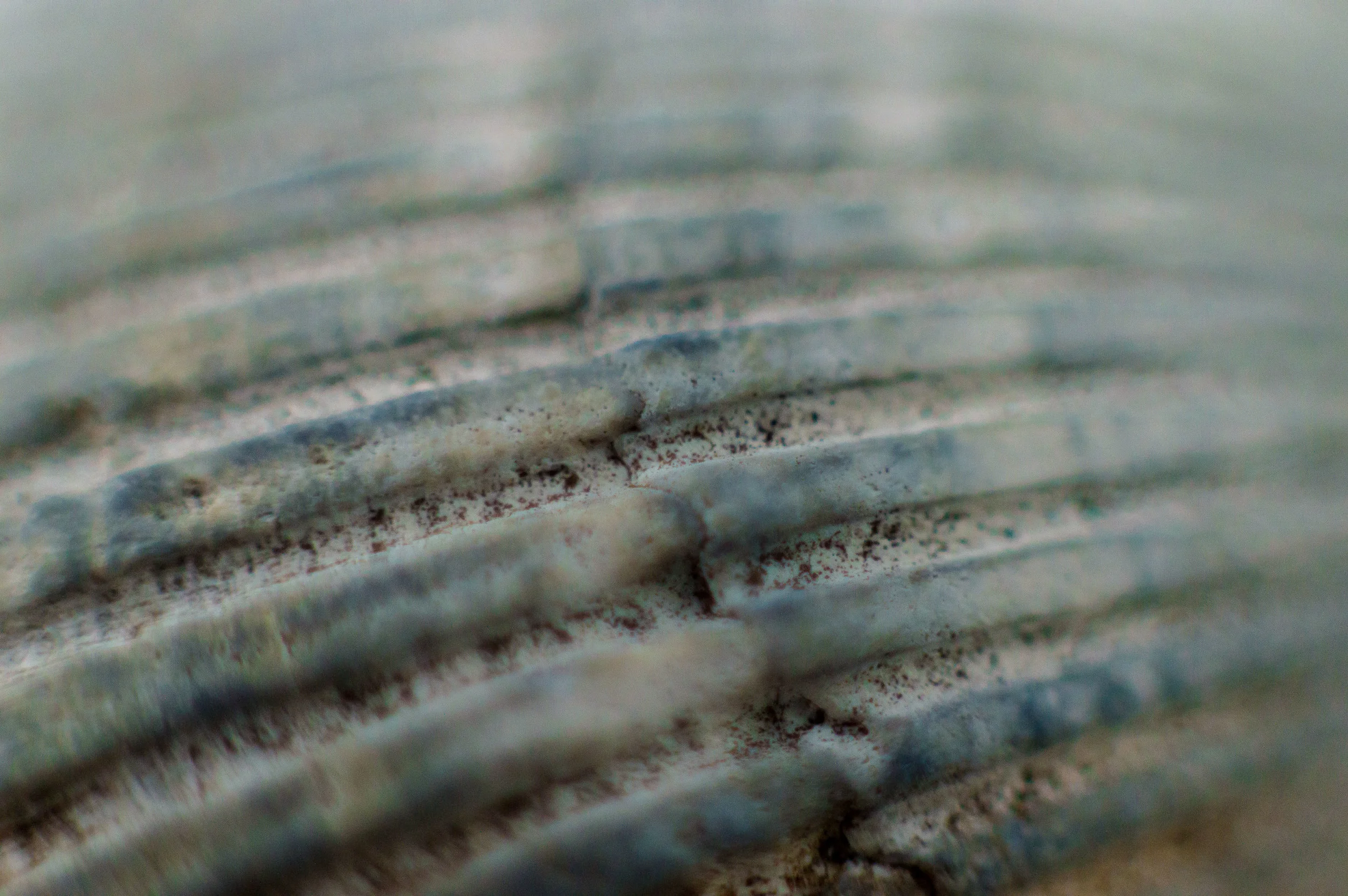 untitled shoot-143.jpg