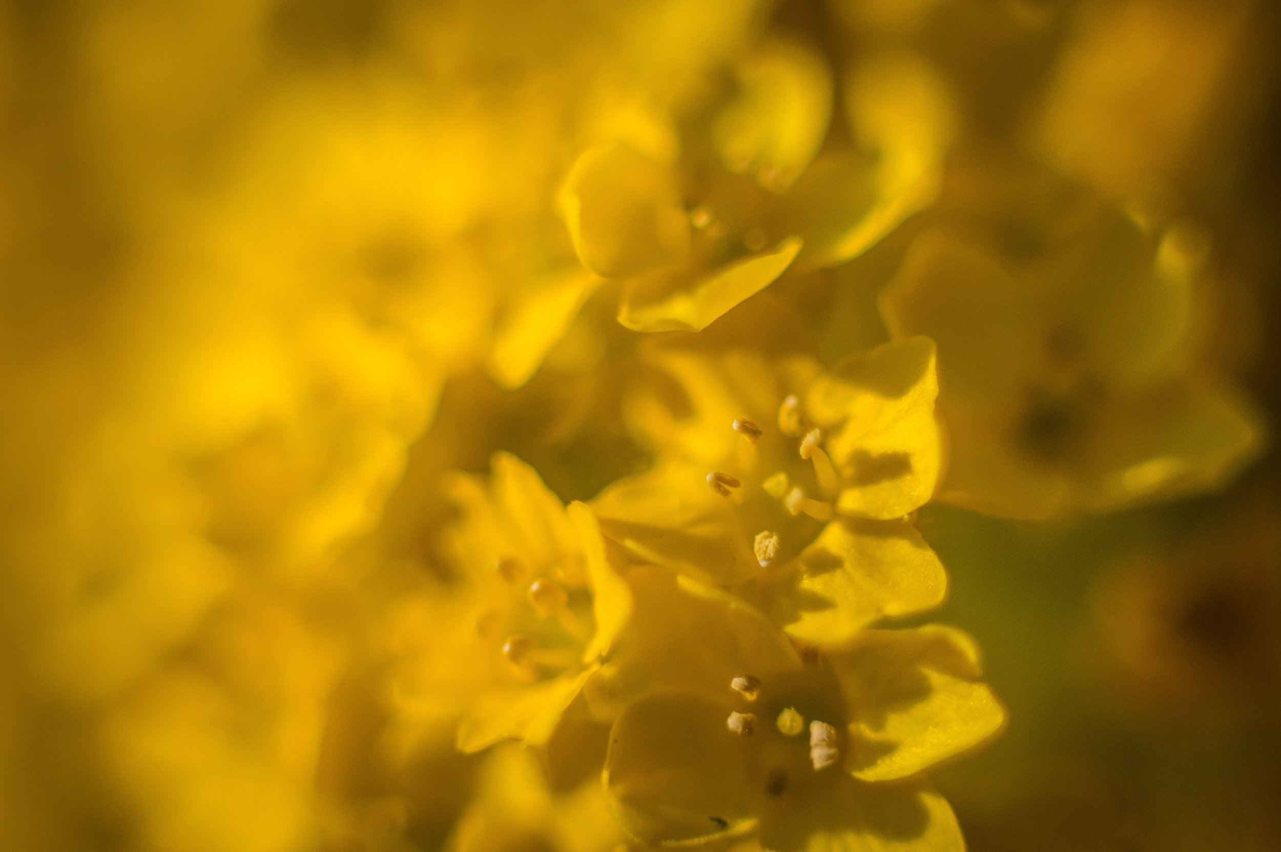 untitled shoot-194.jpg