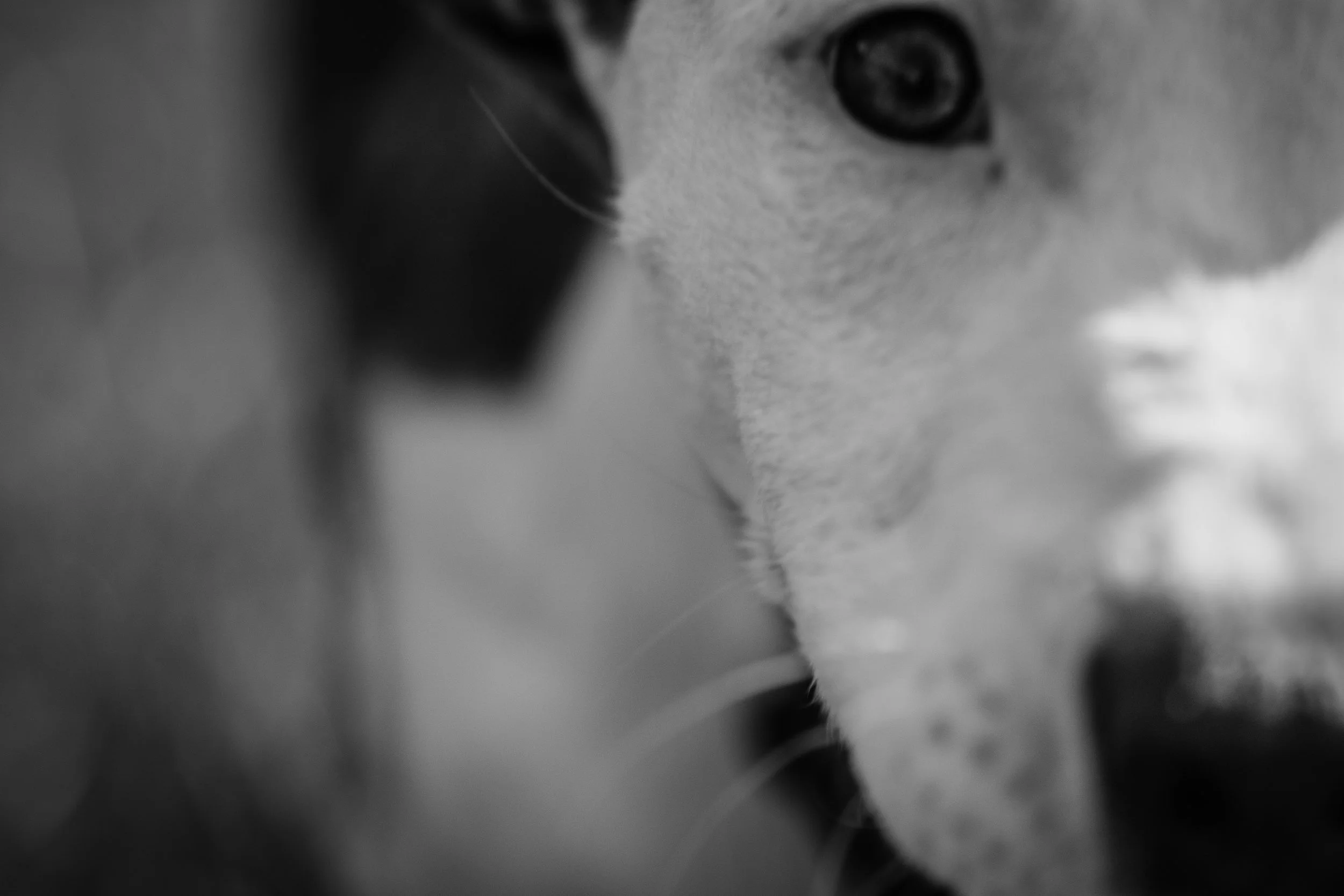 untitled shoot-0596.jpg