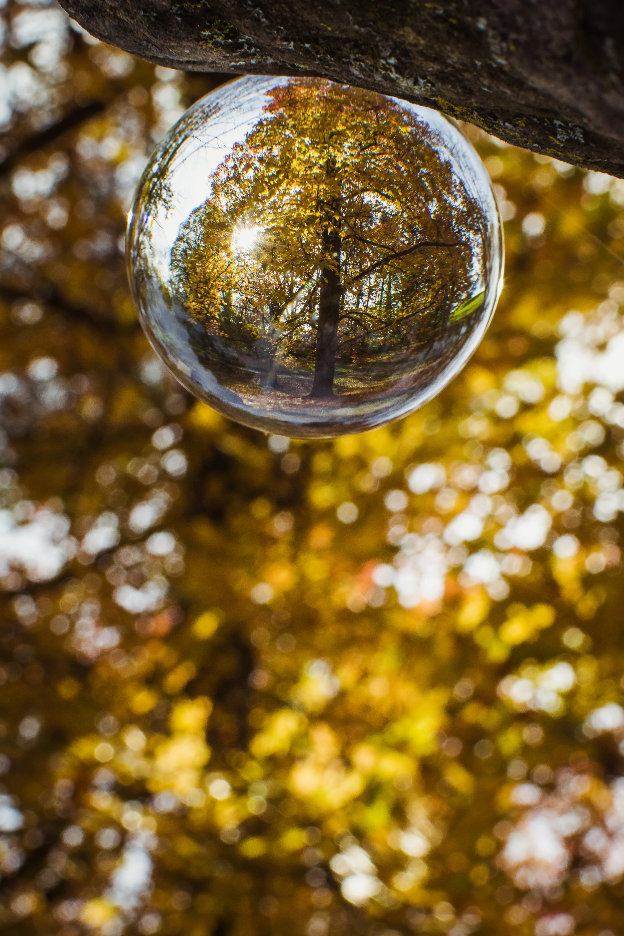 untitled shoot-5459-2.jpg