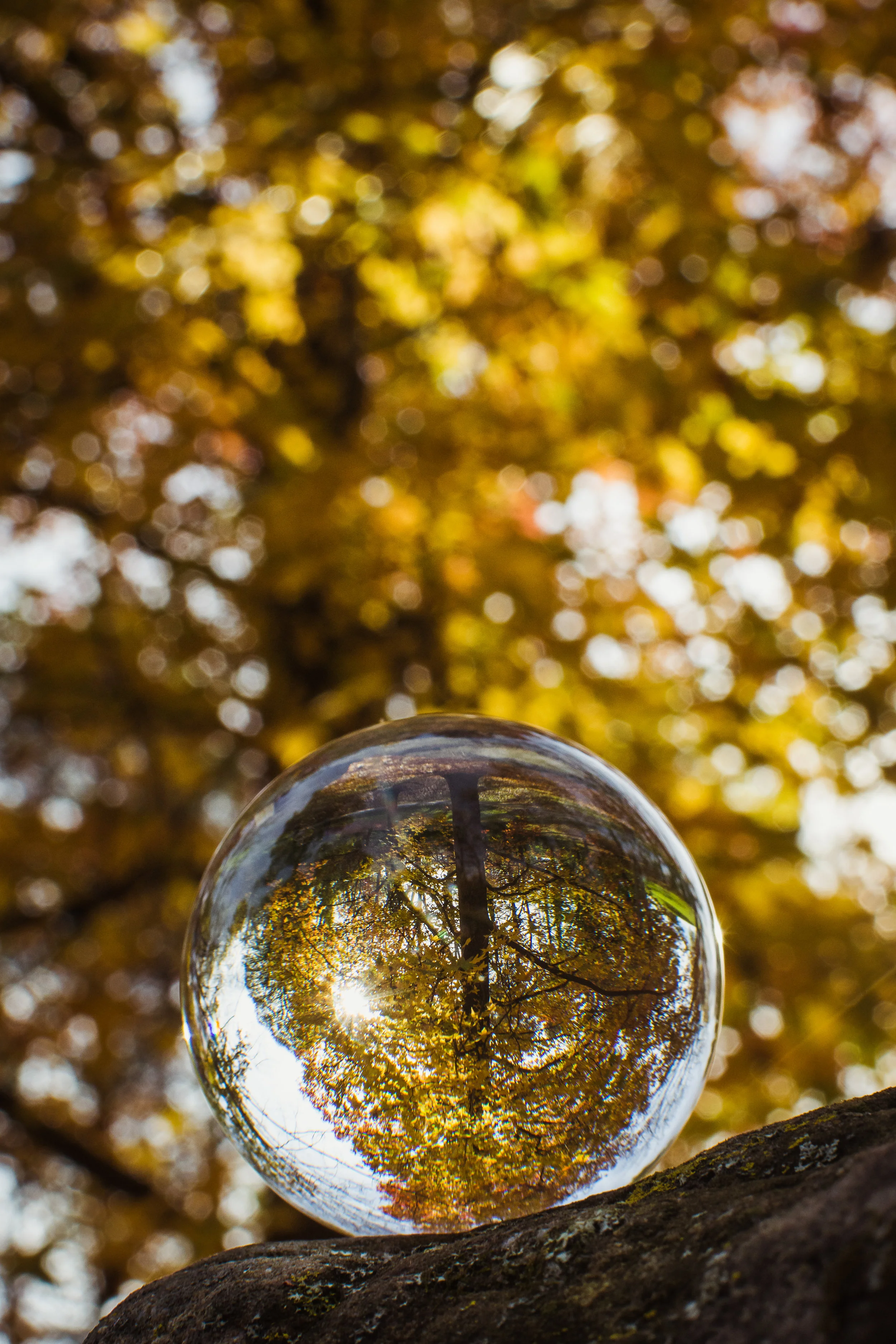 untitled shoot-5459.jpg