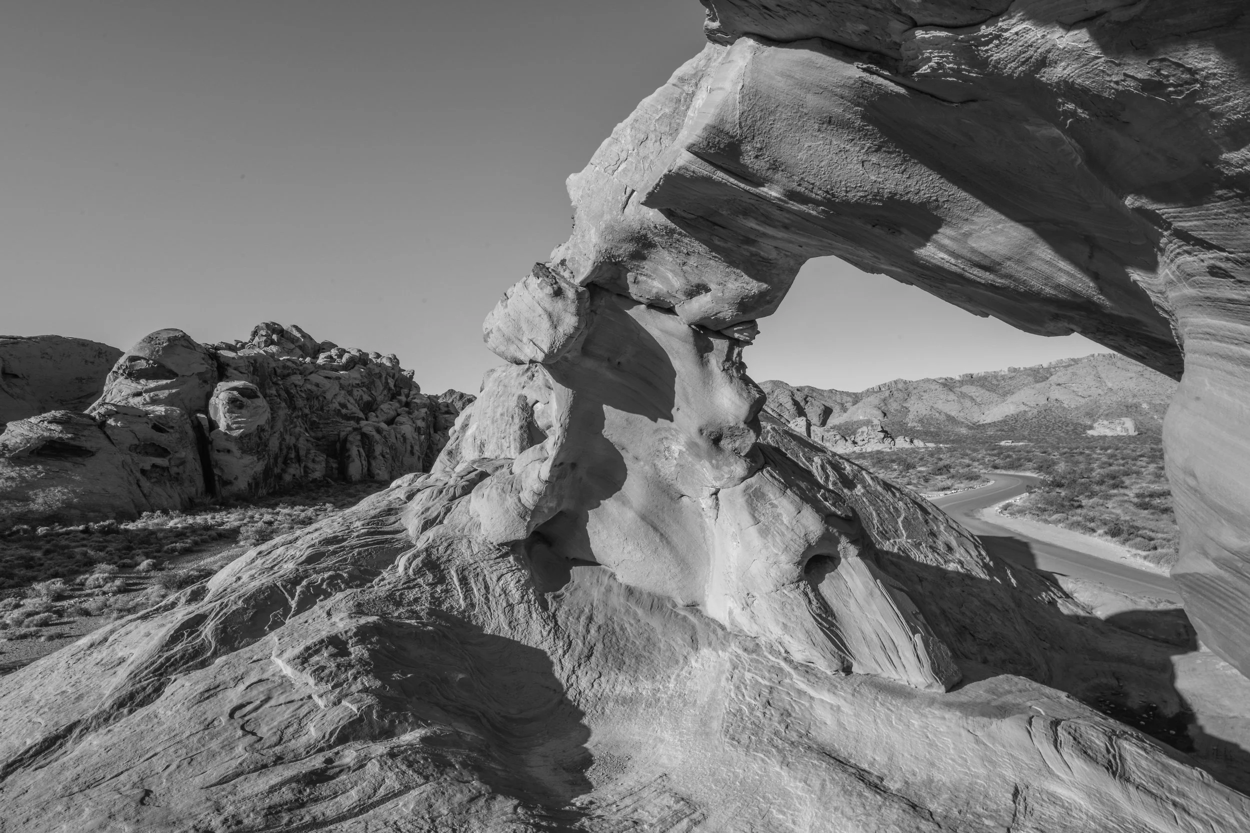 DSC_5475.jpg