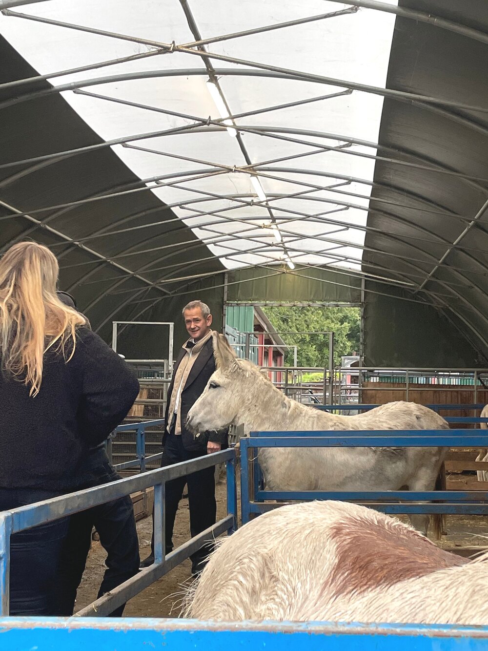 Animals For Hire — BelmontFarm Animals For Hire — BelmontFarm
