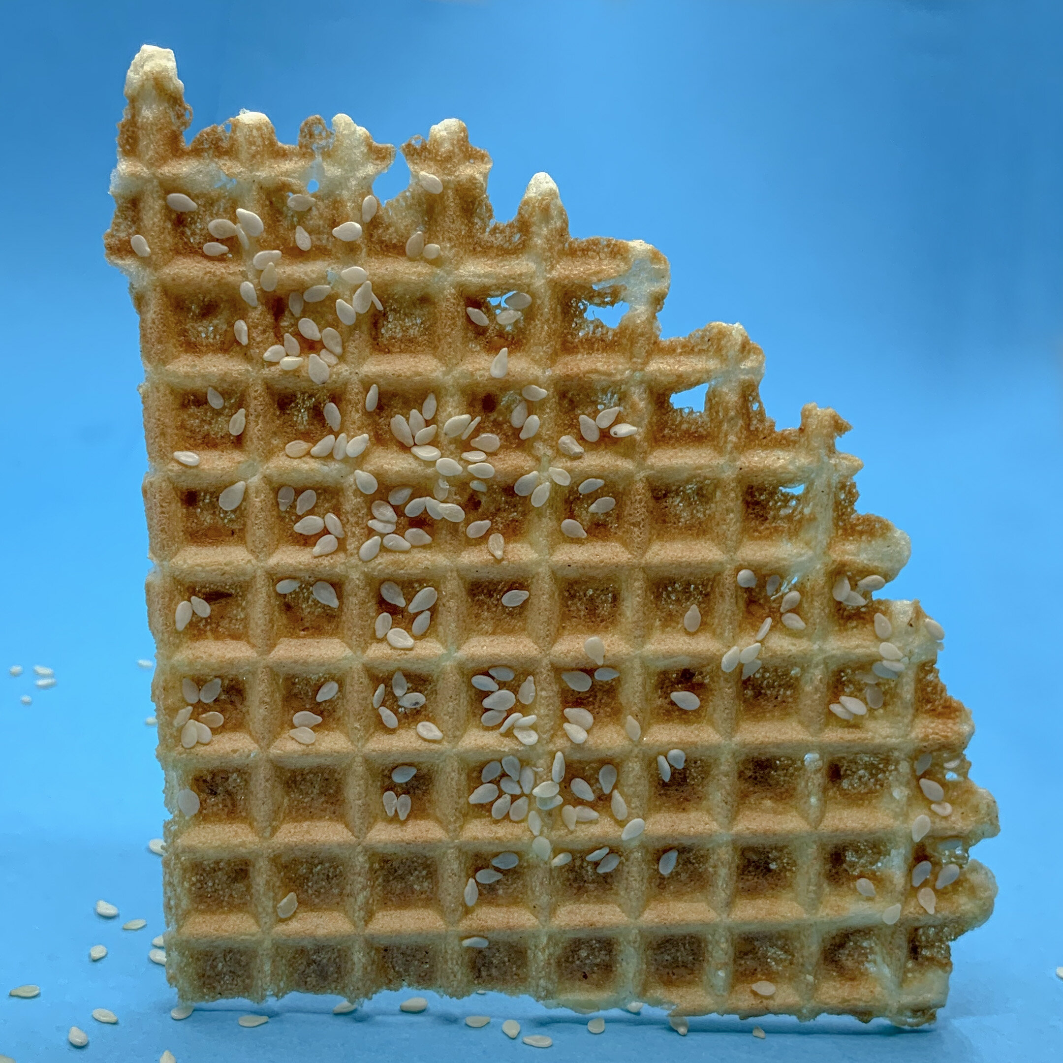 SESAME_WAFER.jpg