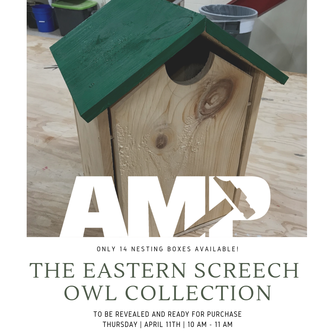 Eastern Screech Owl - Untangled Minds Foundation.png