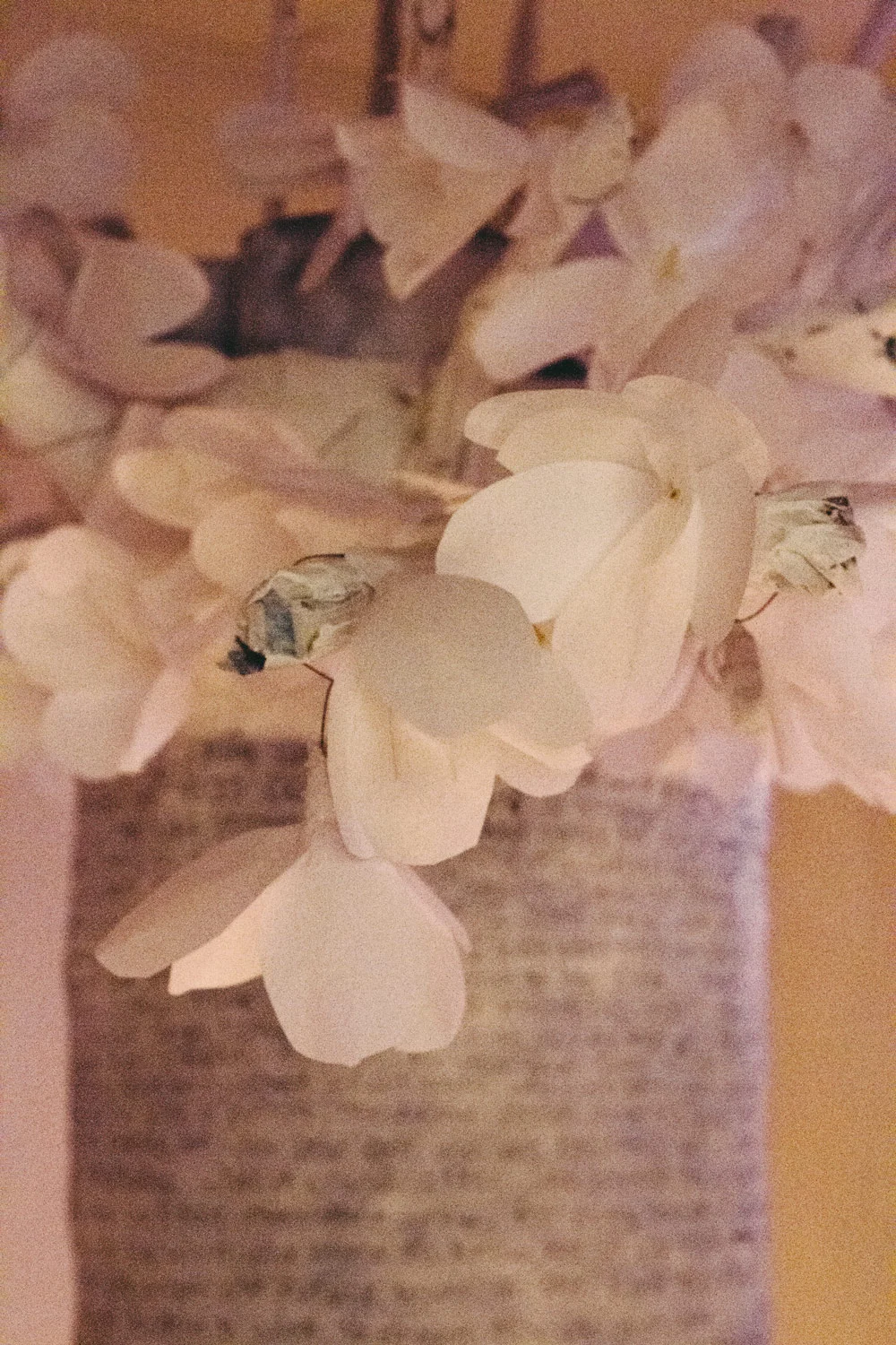 IMG_3399.jpg