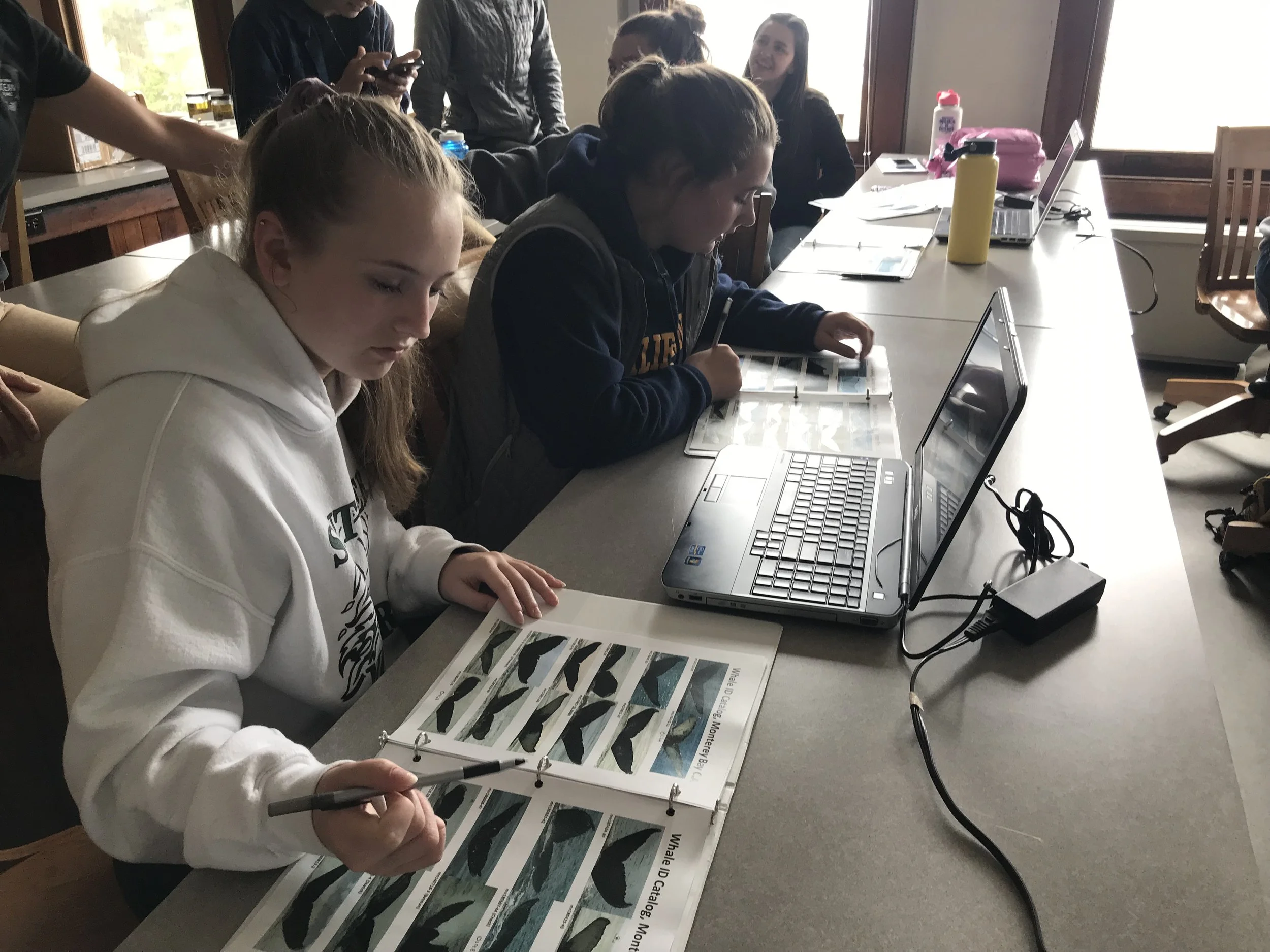 Students practicing their photo-identification techniques at Hopkins Marine Station in Monterey.