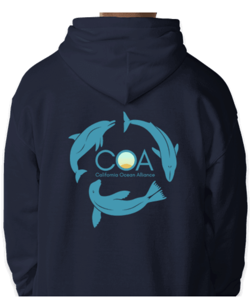 navy hoodie_back.png