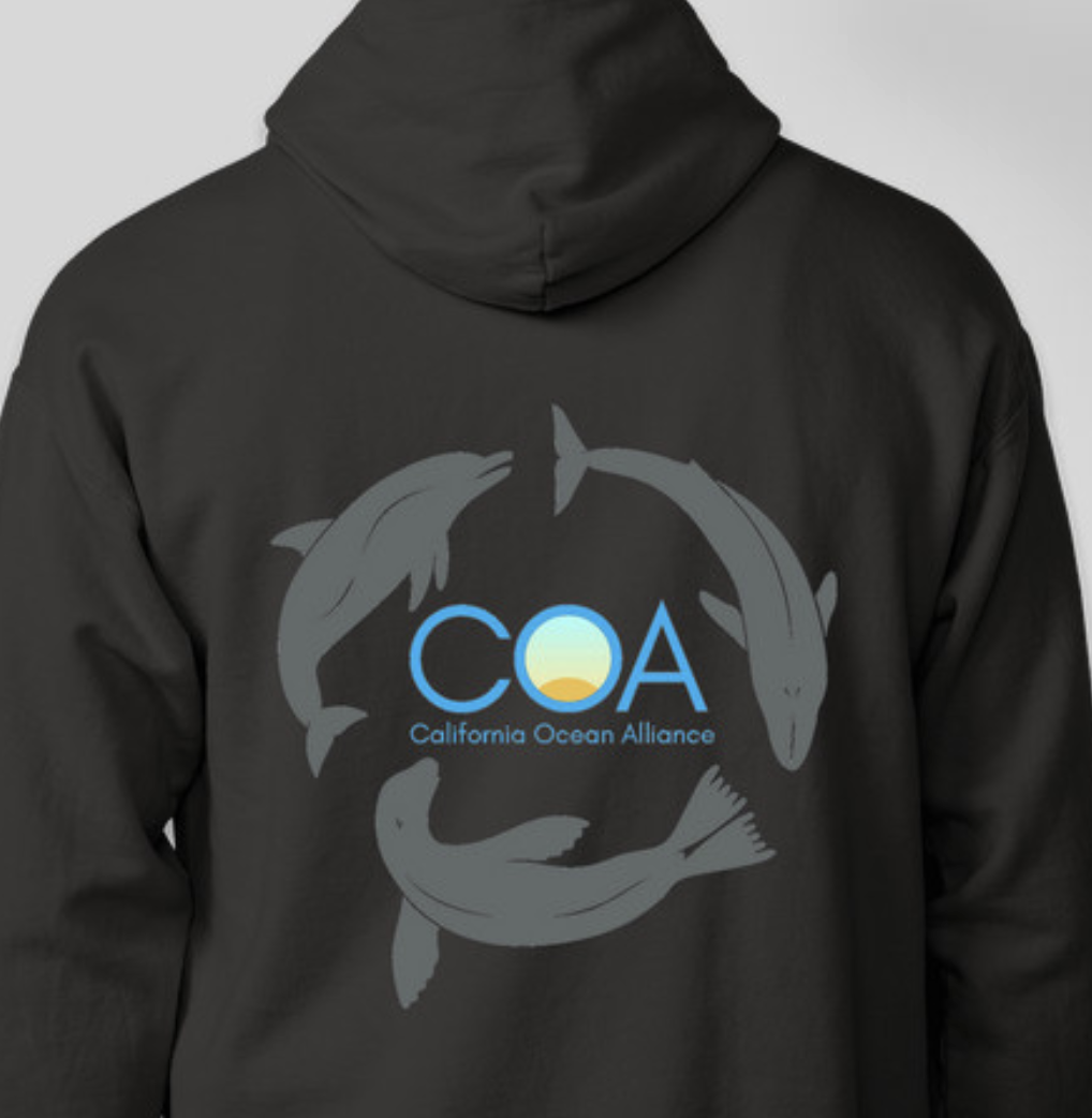 Screenshot 2026-01-20 at 3.10.34 PM.png