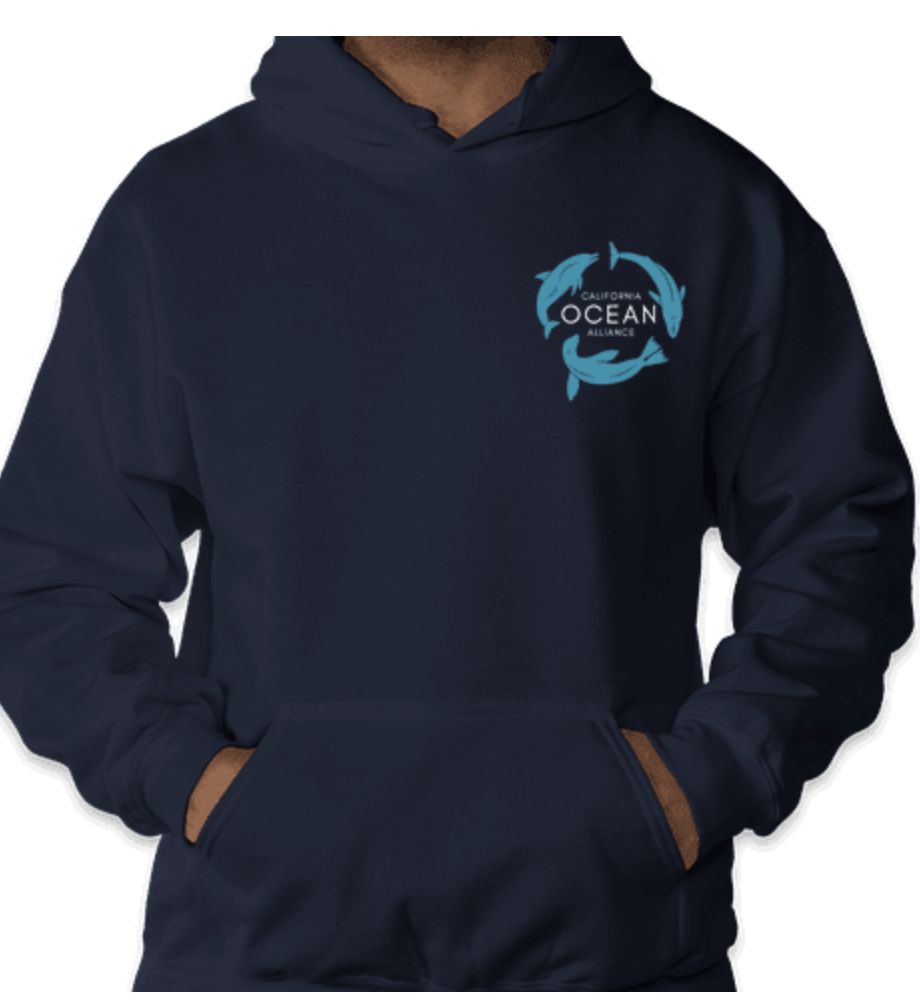 navy hoodie_front.png