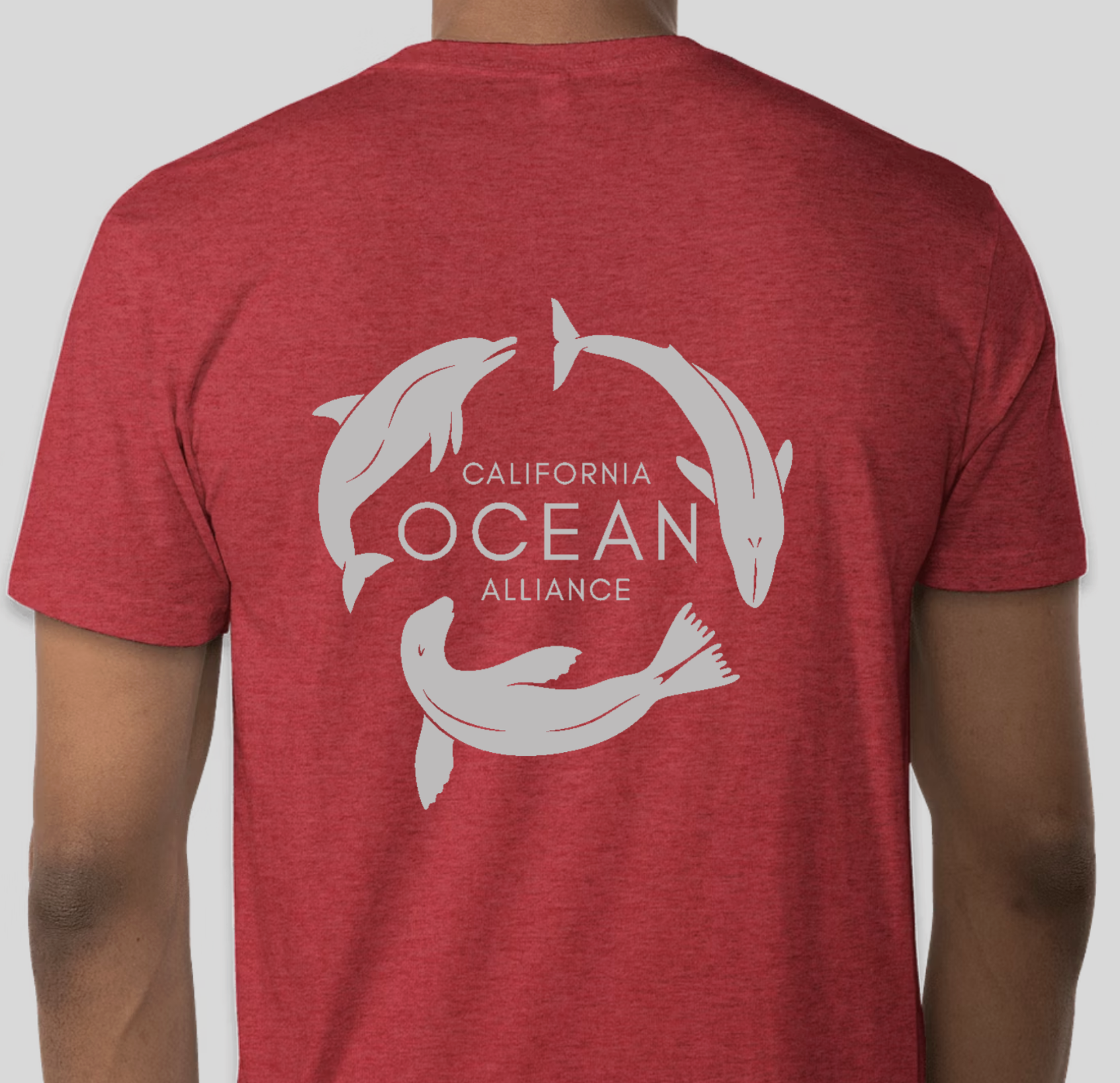 back of kids red tee.png