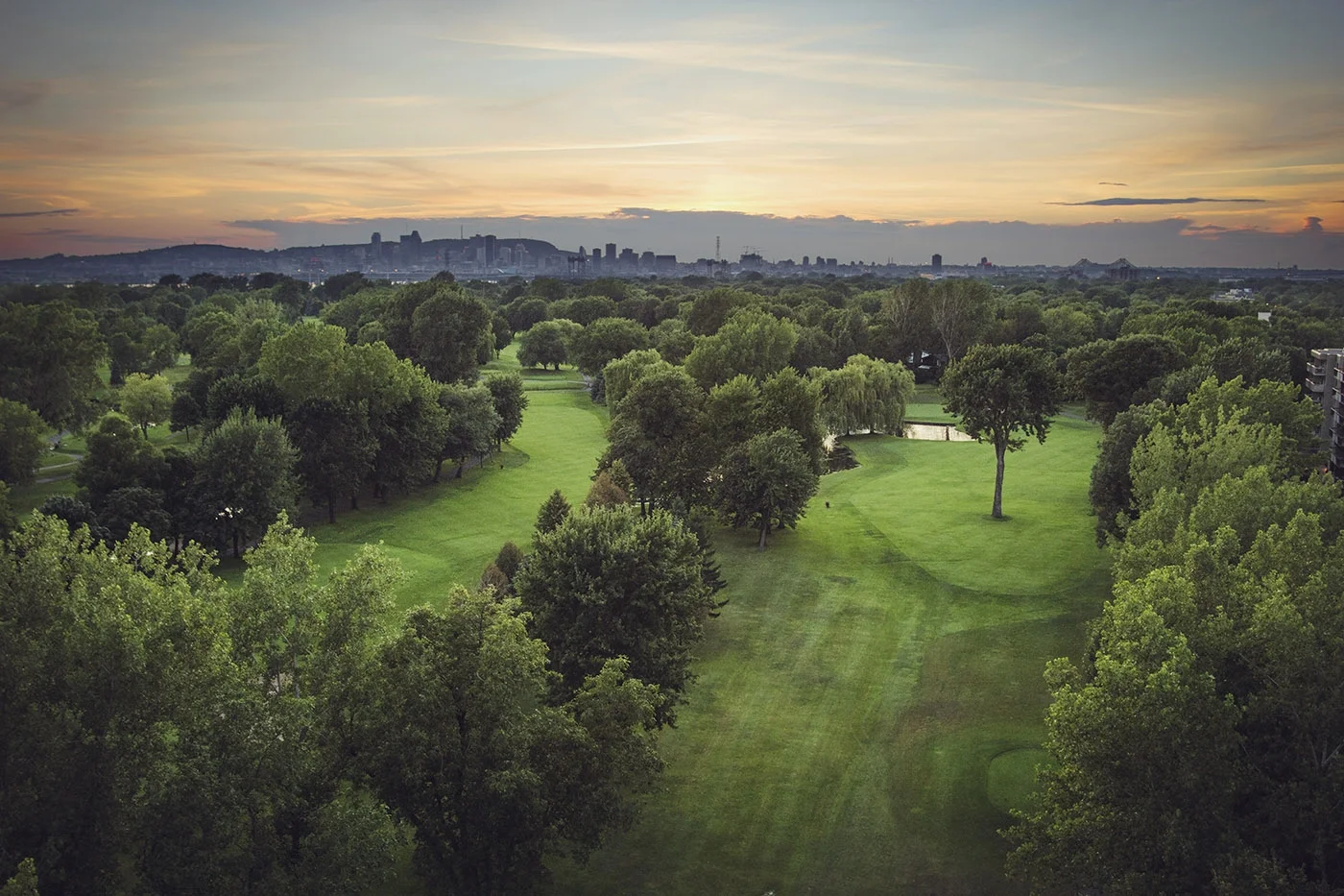 CCM_Fairway05.jpg