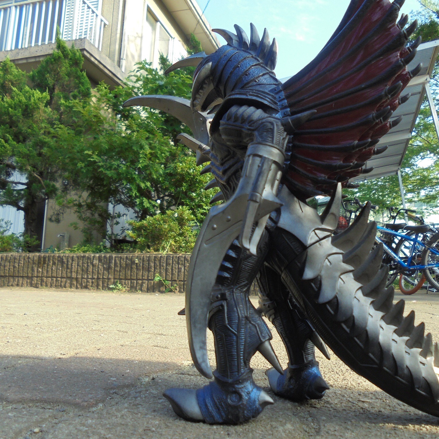 From our Digital Camera contest デジタルカメラコンテストのプログラムより