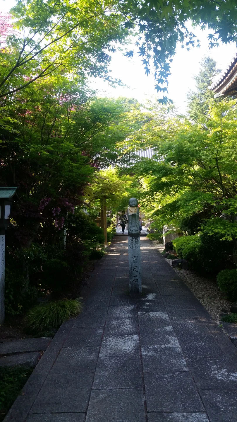 20180420_161008-3.jpg