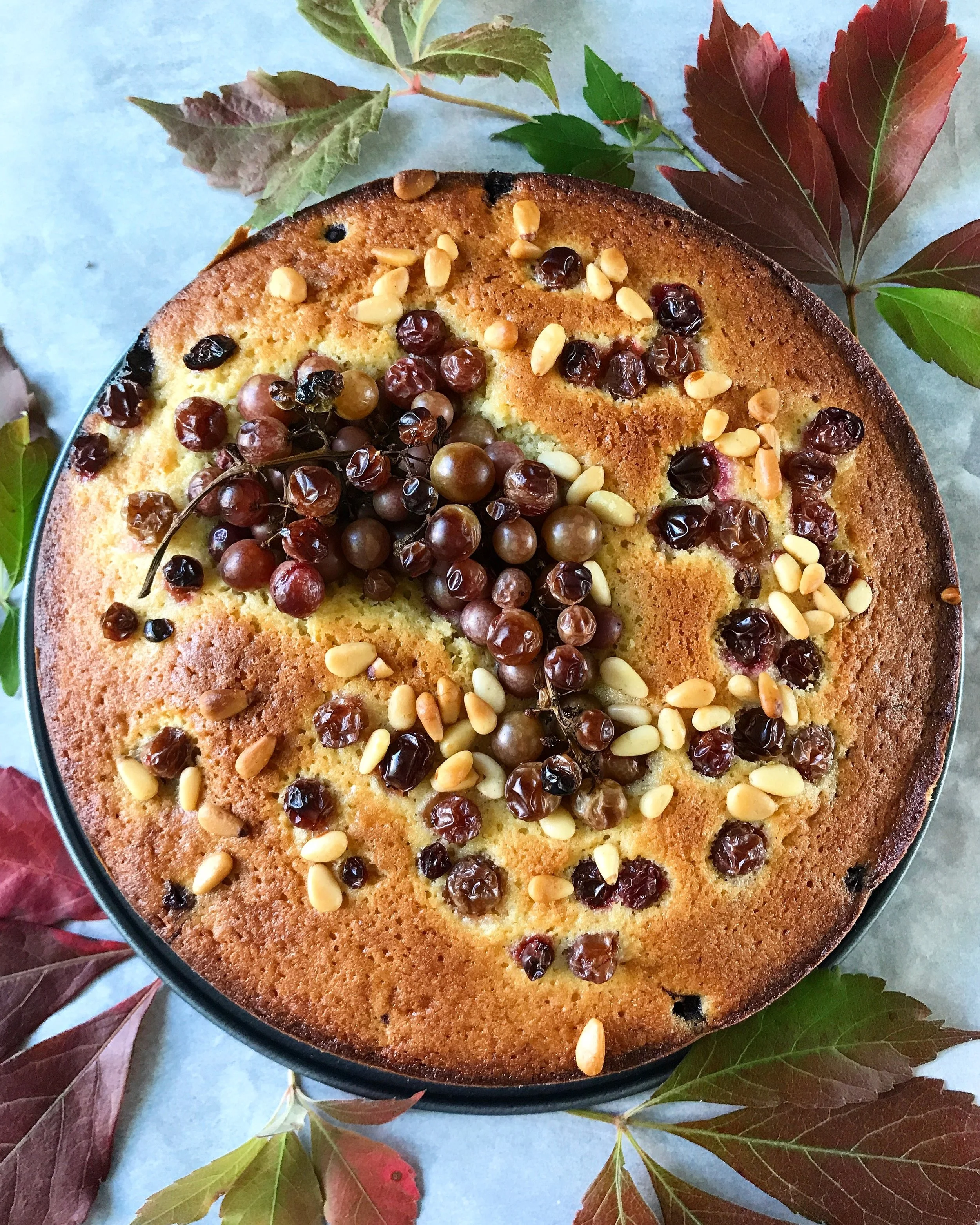 HARVEST CAKE WITH GRAPES AND PINE NUTS