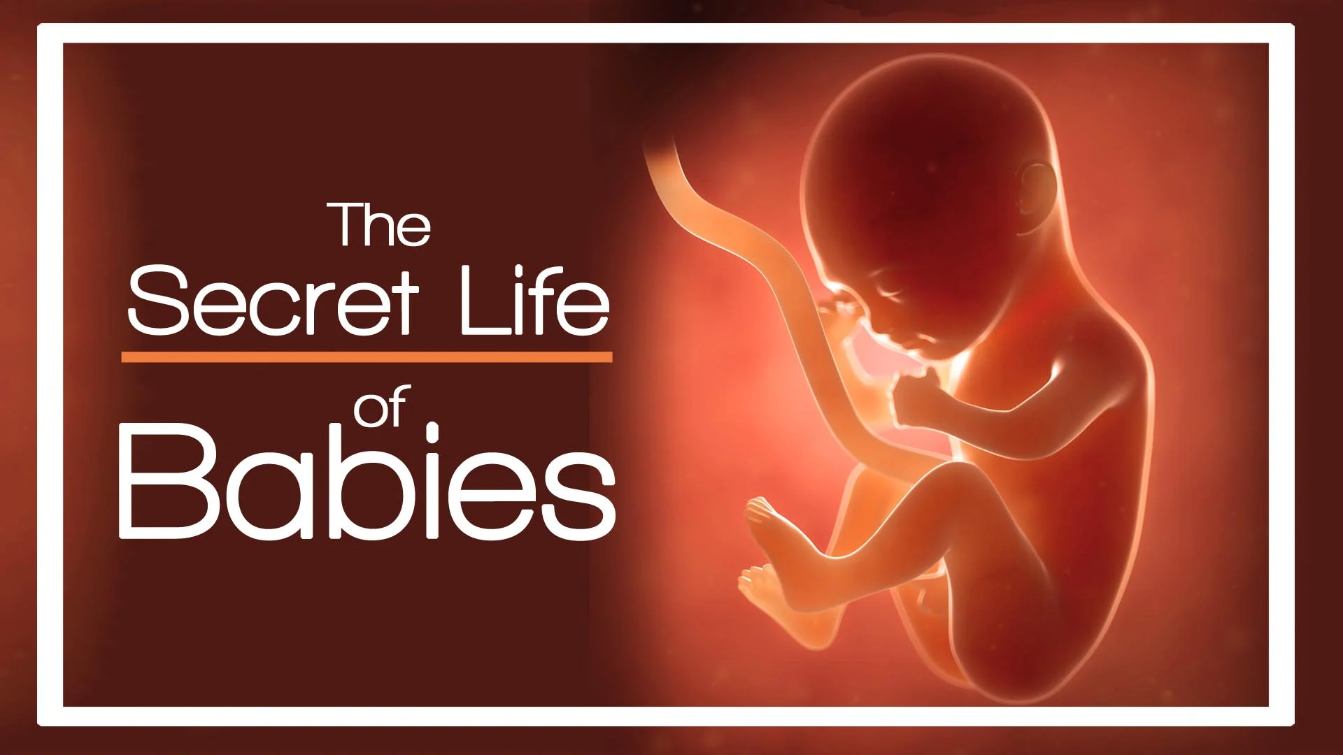 SecretLifeOfBabies_16x9.jpg