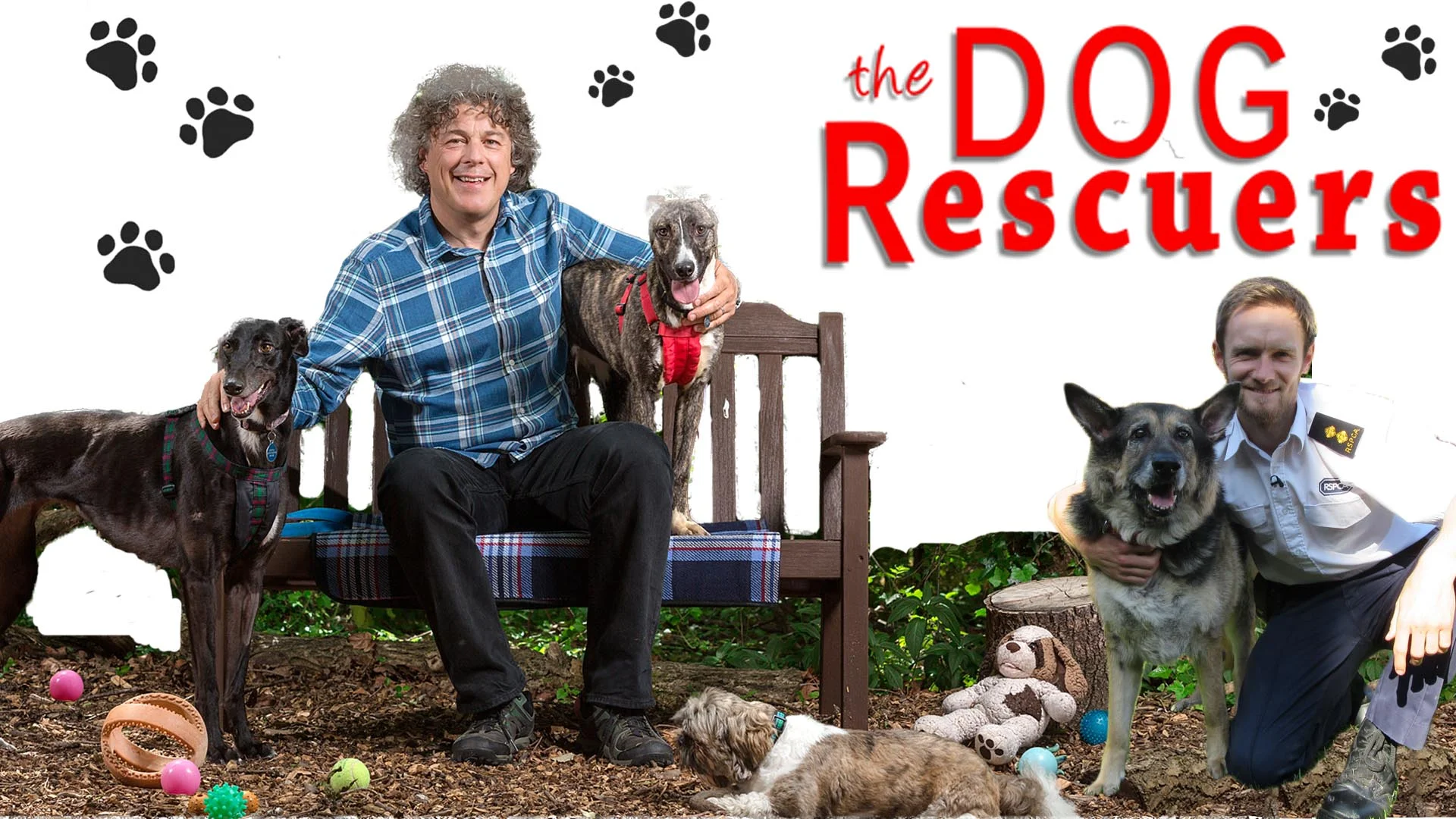 DogRescurers_16X9.jpg