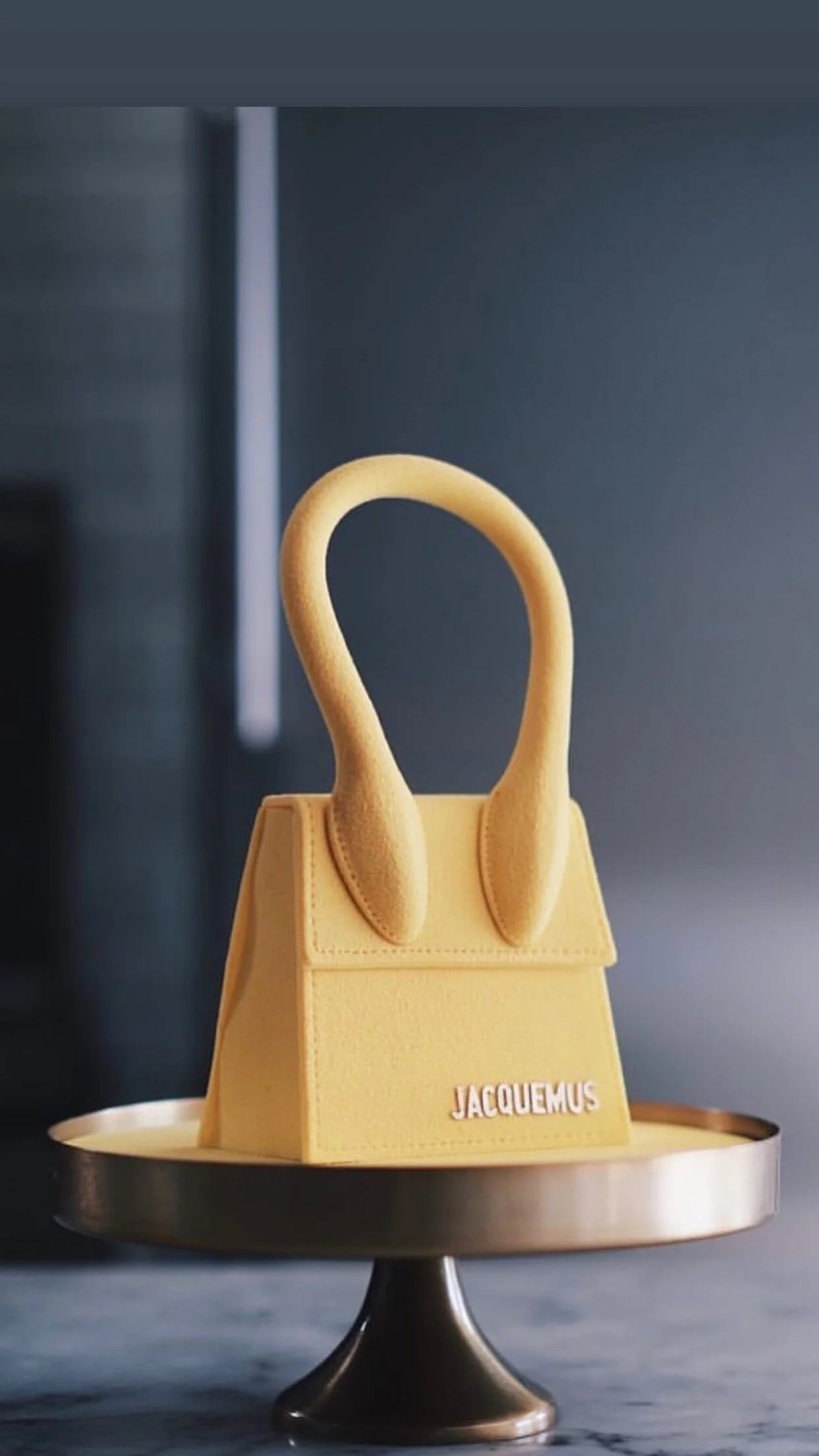 Jacquemus Le Chiquito Hand Bag CAKE!