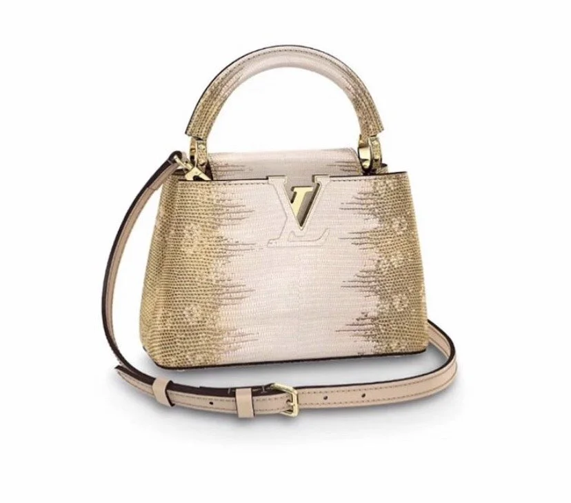 Louis-Vuitton-Ombre-Lizard-mini-capucine-collectsingluxury-rare-3.jpeg