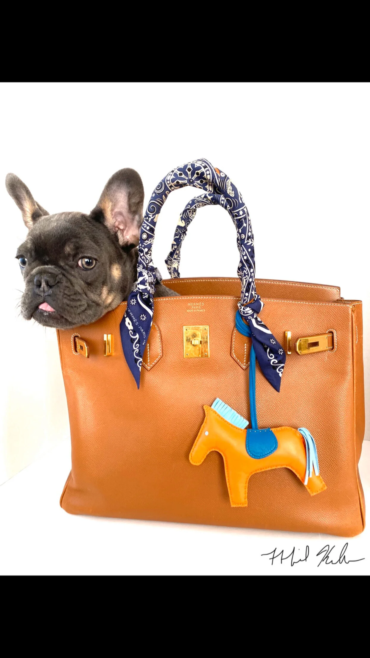 Gus-French-Bullding-inside-Michael-Kuluva-Birkin-Bag-collectingluxuryblog.JPG