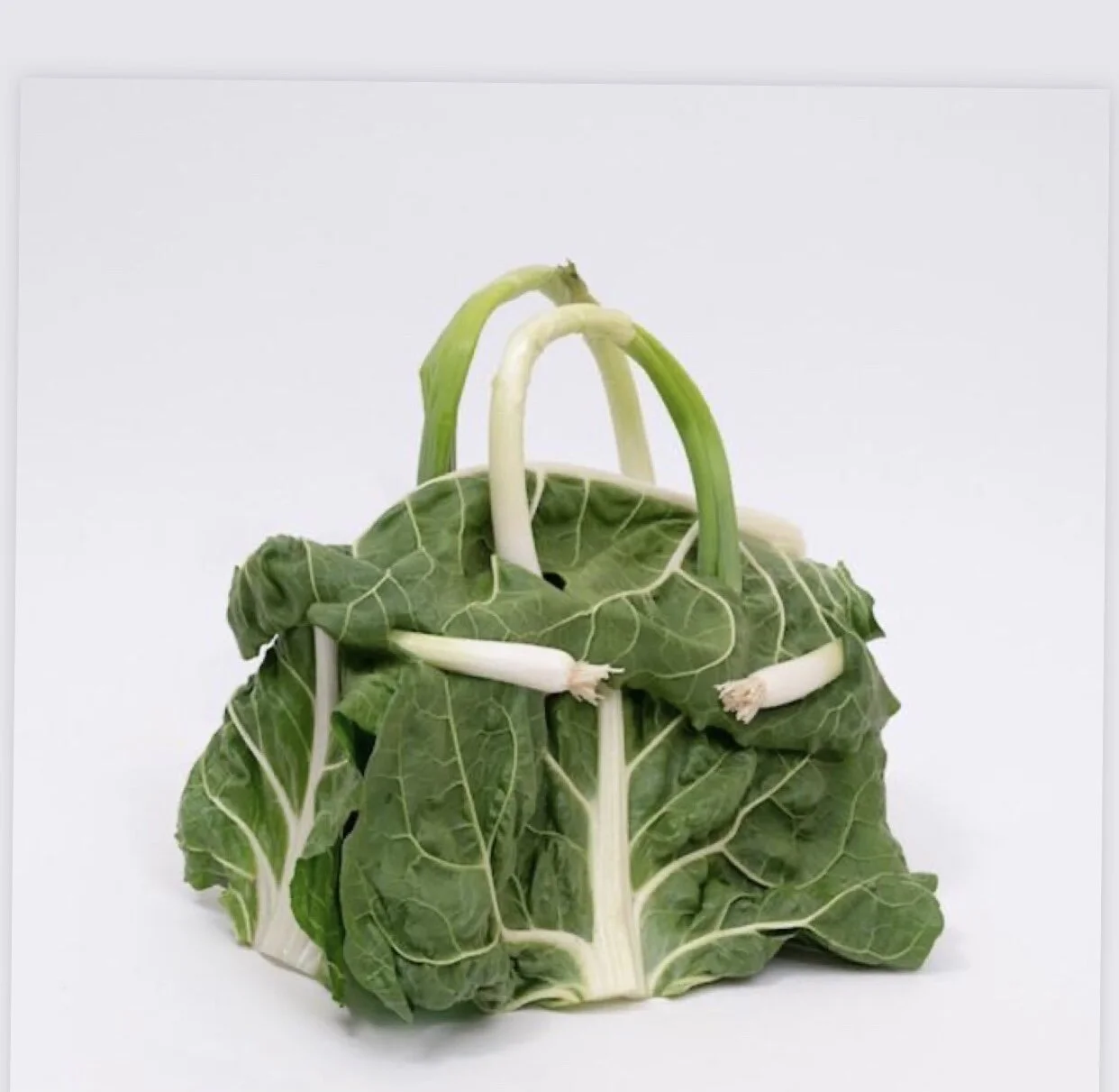 Hermès Debuting Vegan Leather into Luxury Products