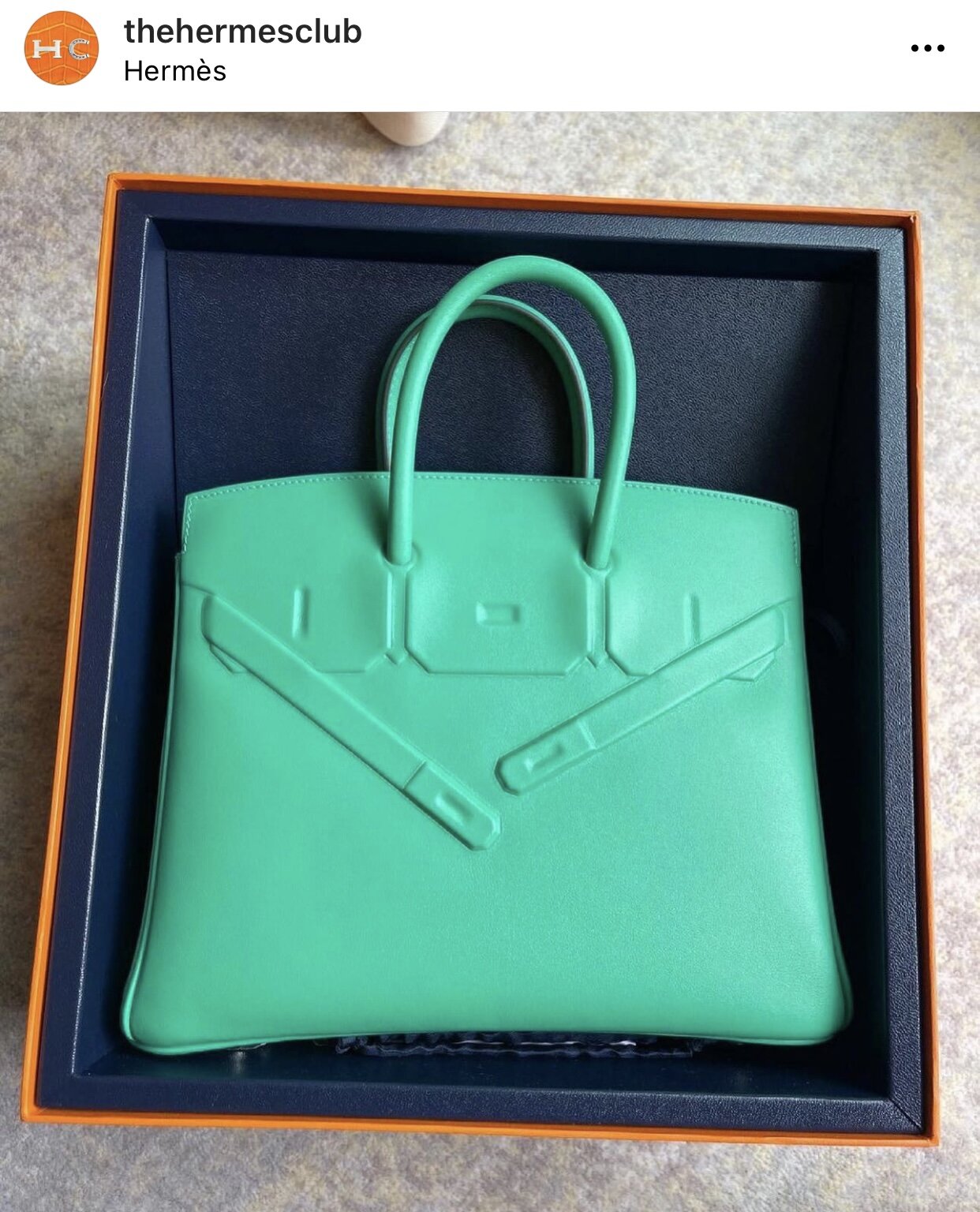 RARE New Hermès Shadow Birkin in Menthe Green