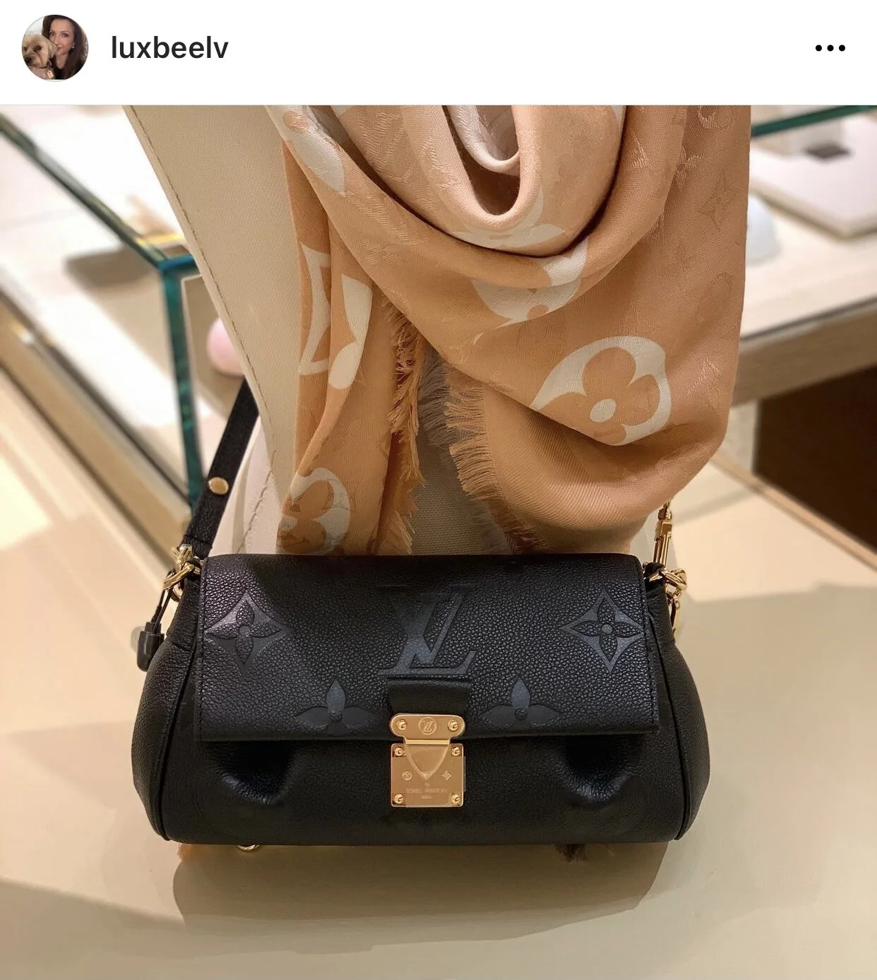 A Louis Vuitton Favorite in Empreinte Leather