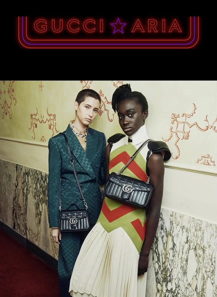 The Gucci Marmont Bag 